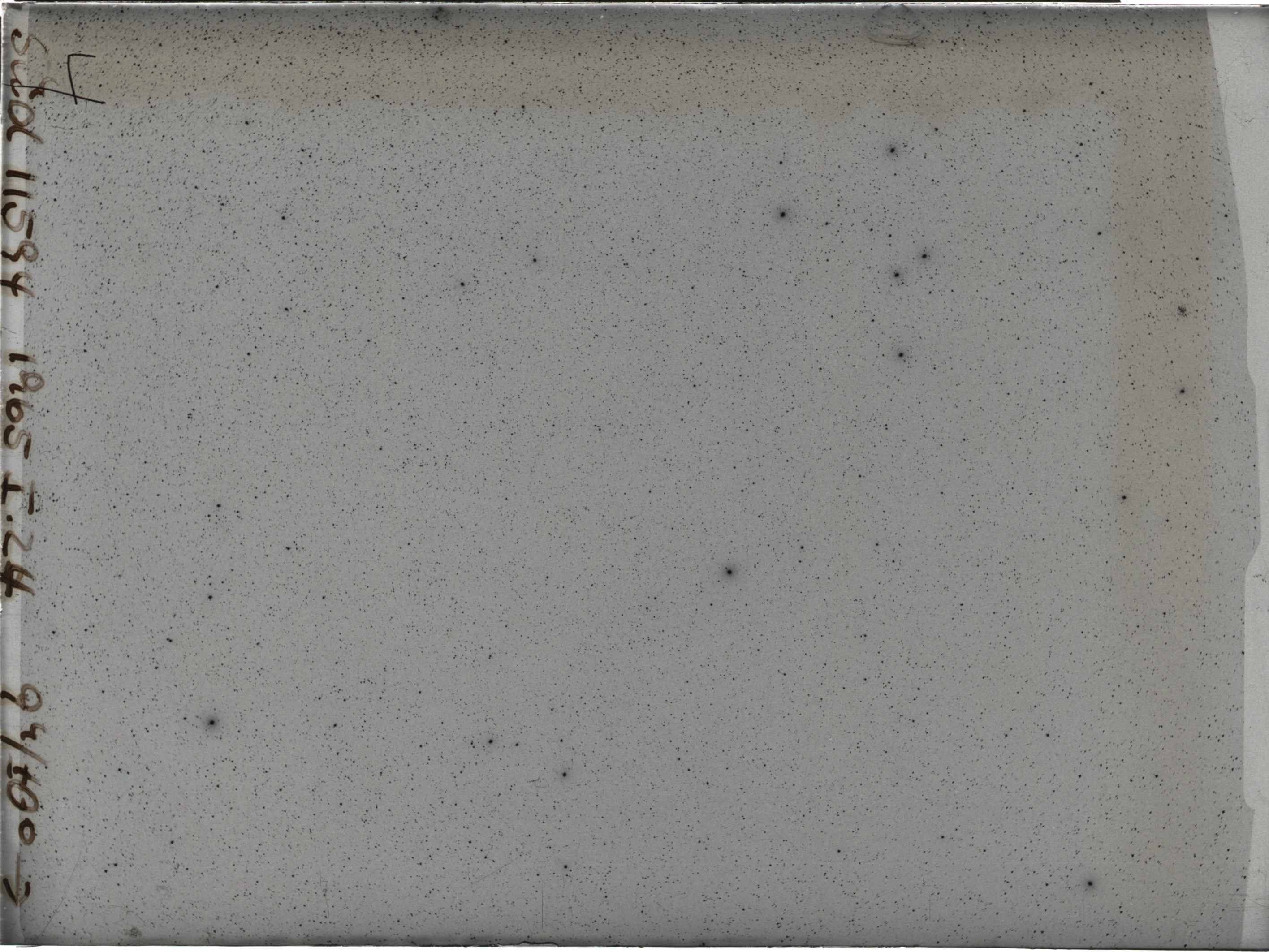 Plate preview