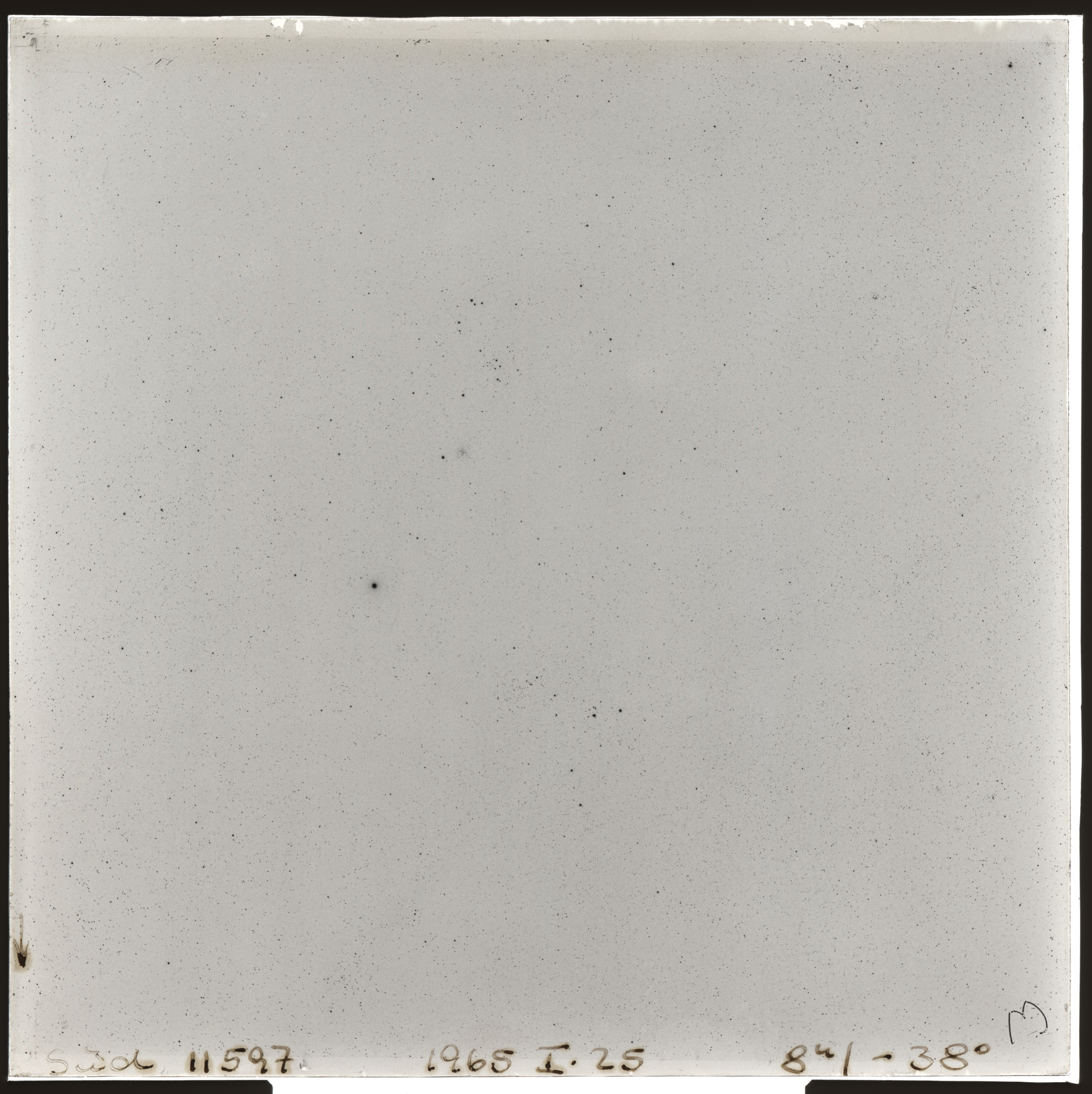 Plate preview
