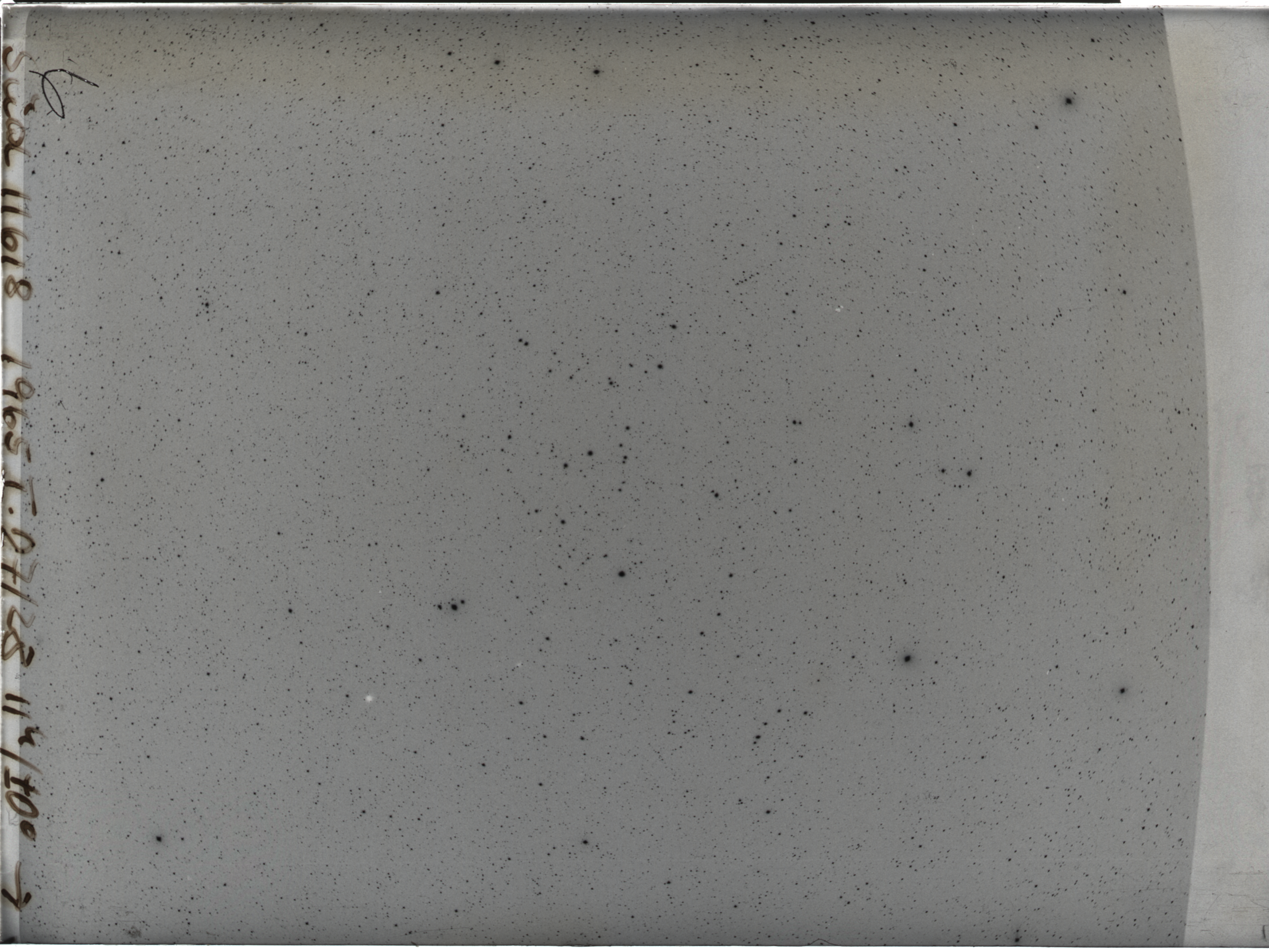 Plate preview