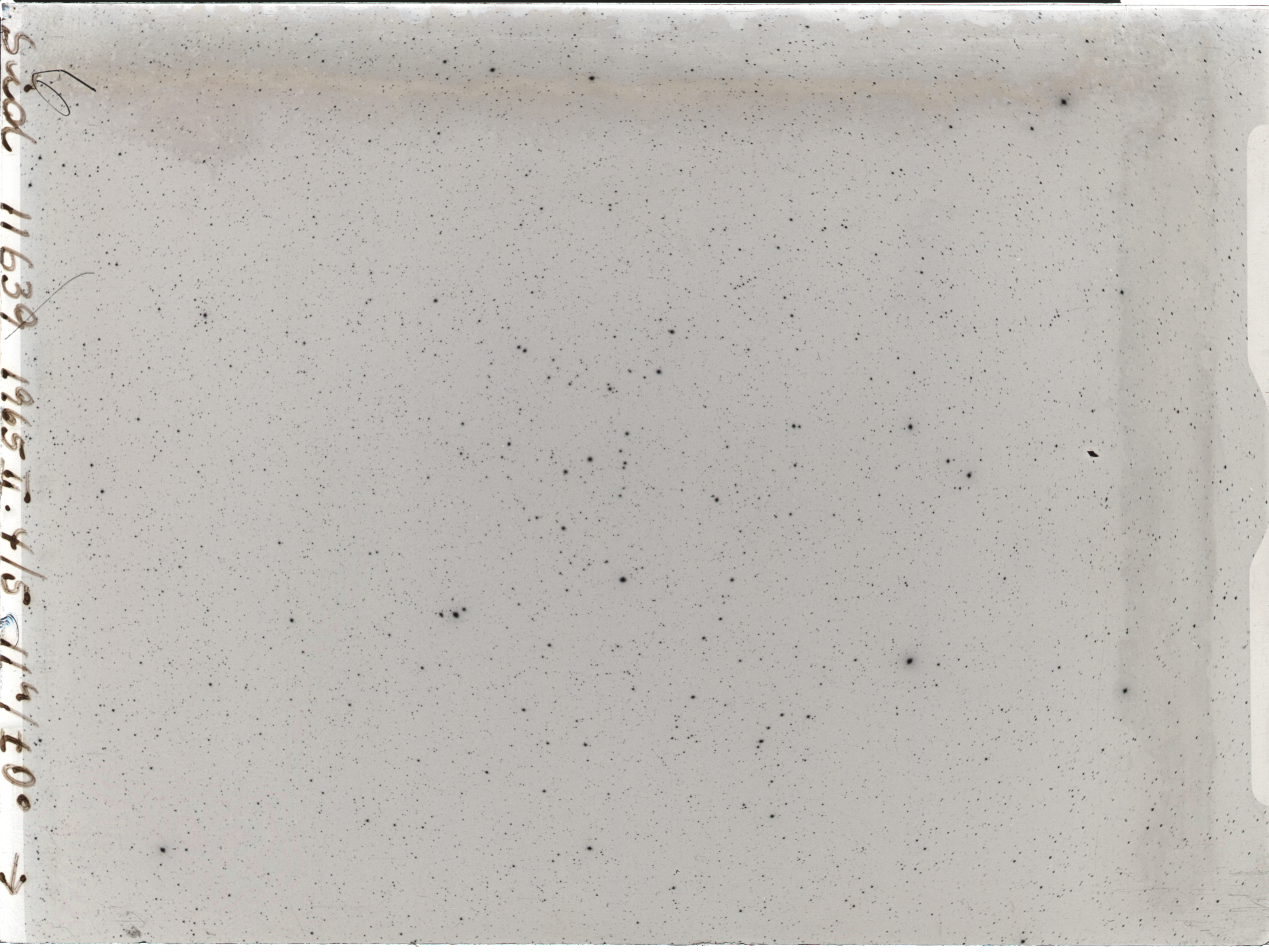 Plate preview