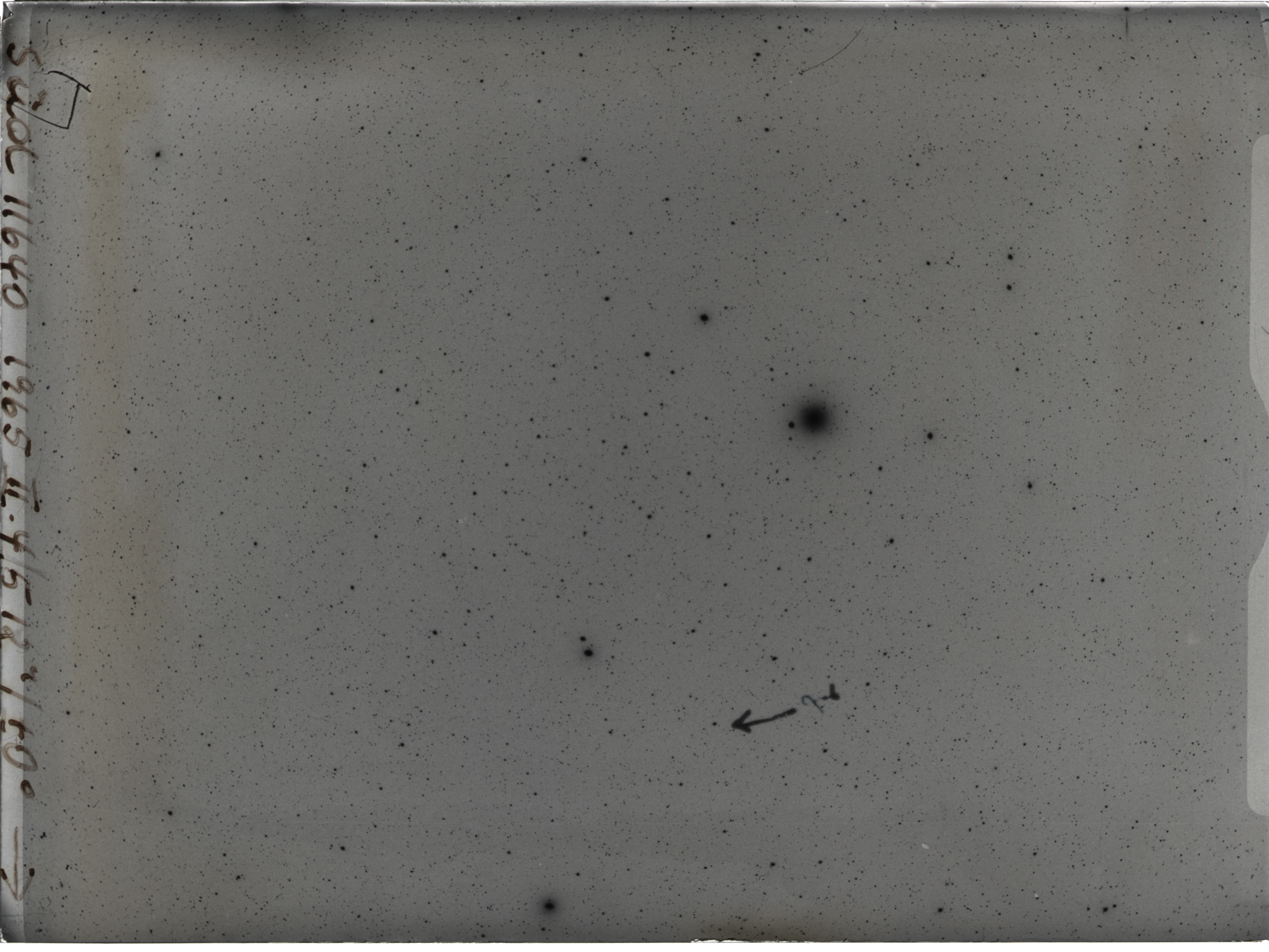Plate preview