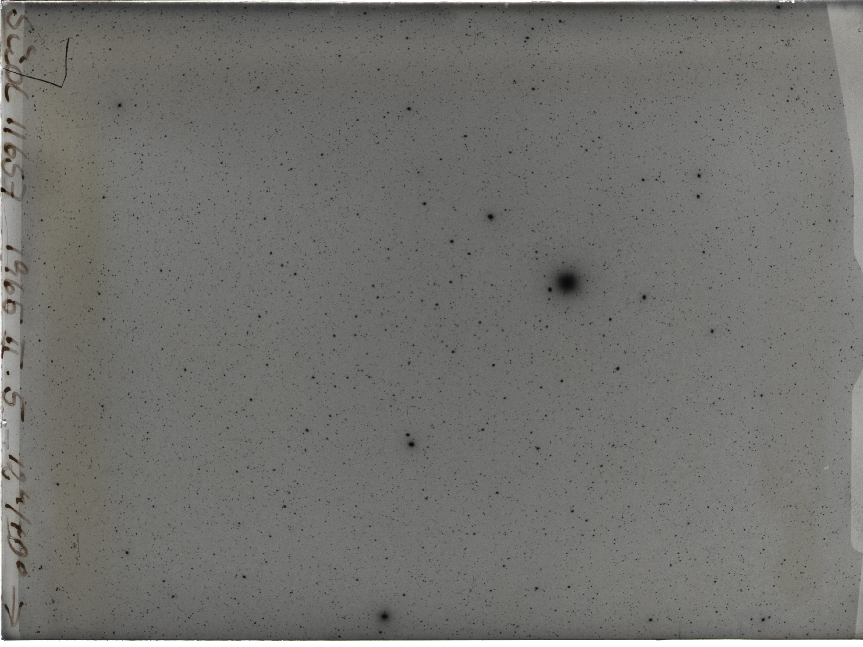 Plate preview