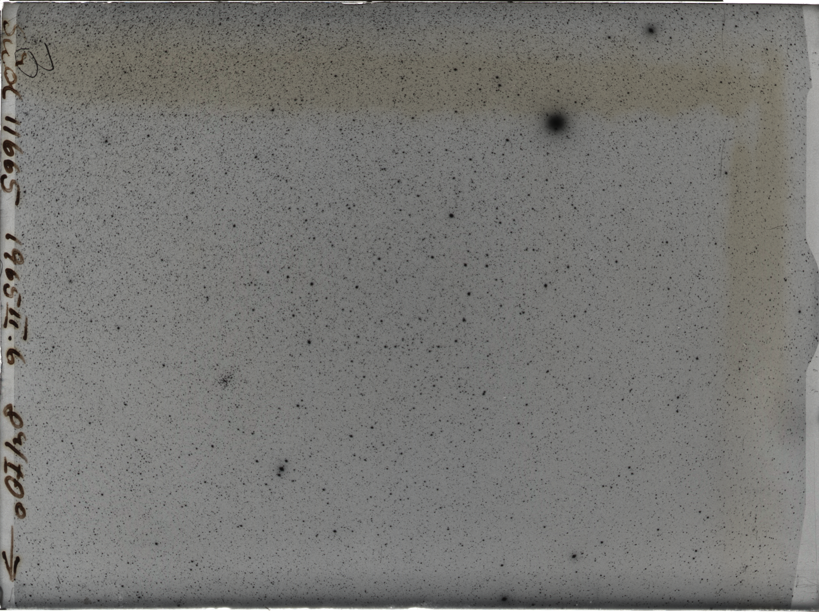 Plate preview