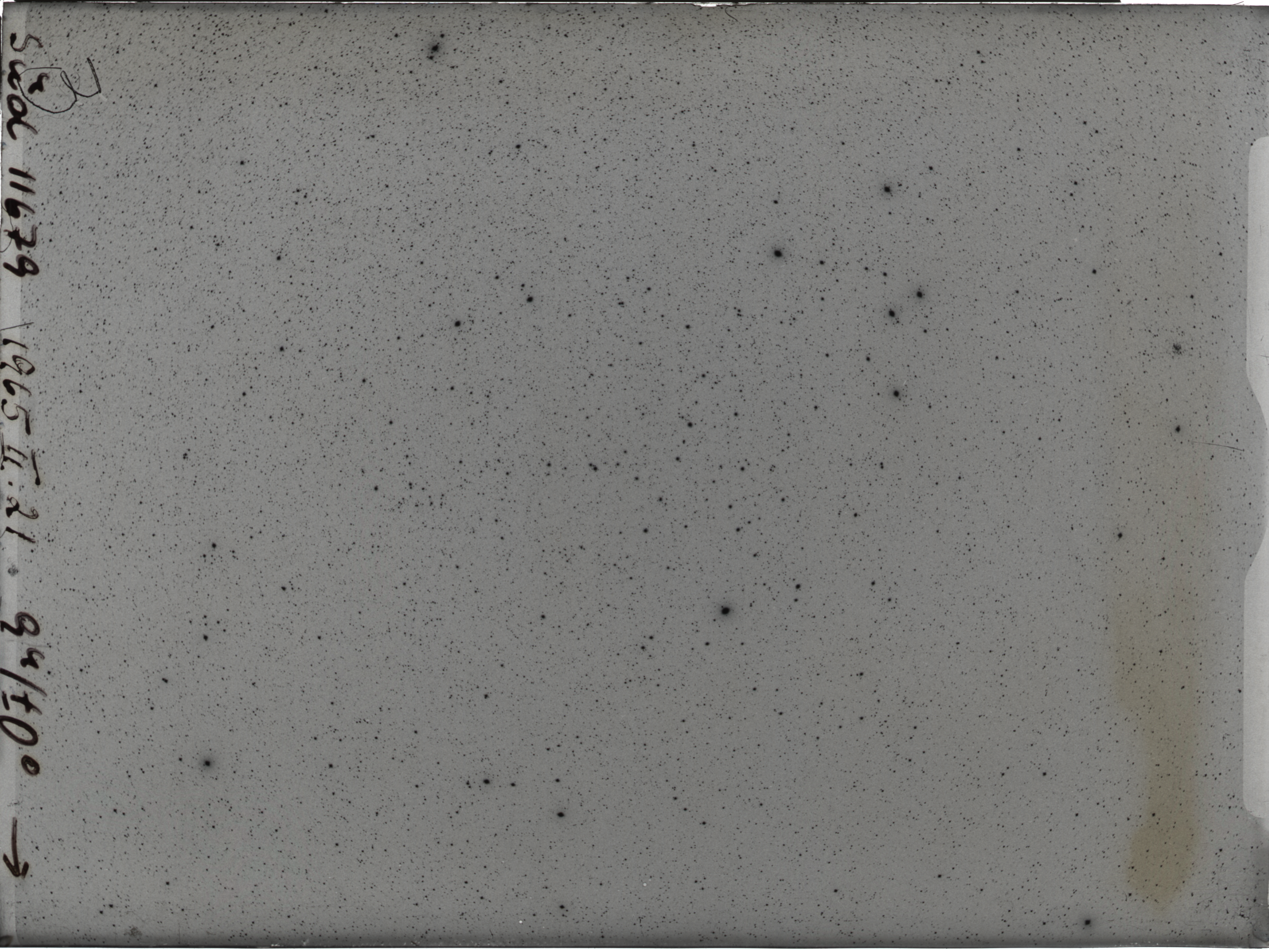 Plate preview