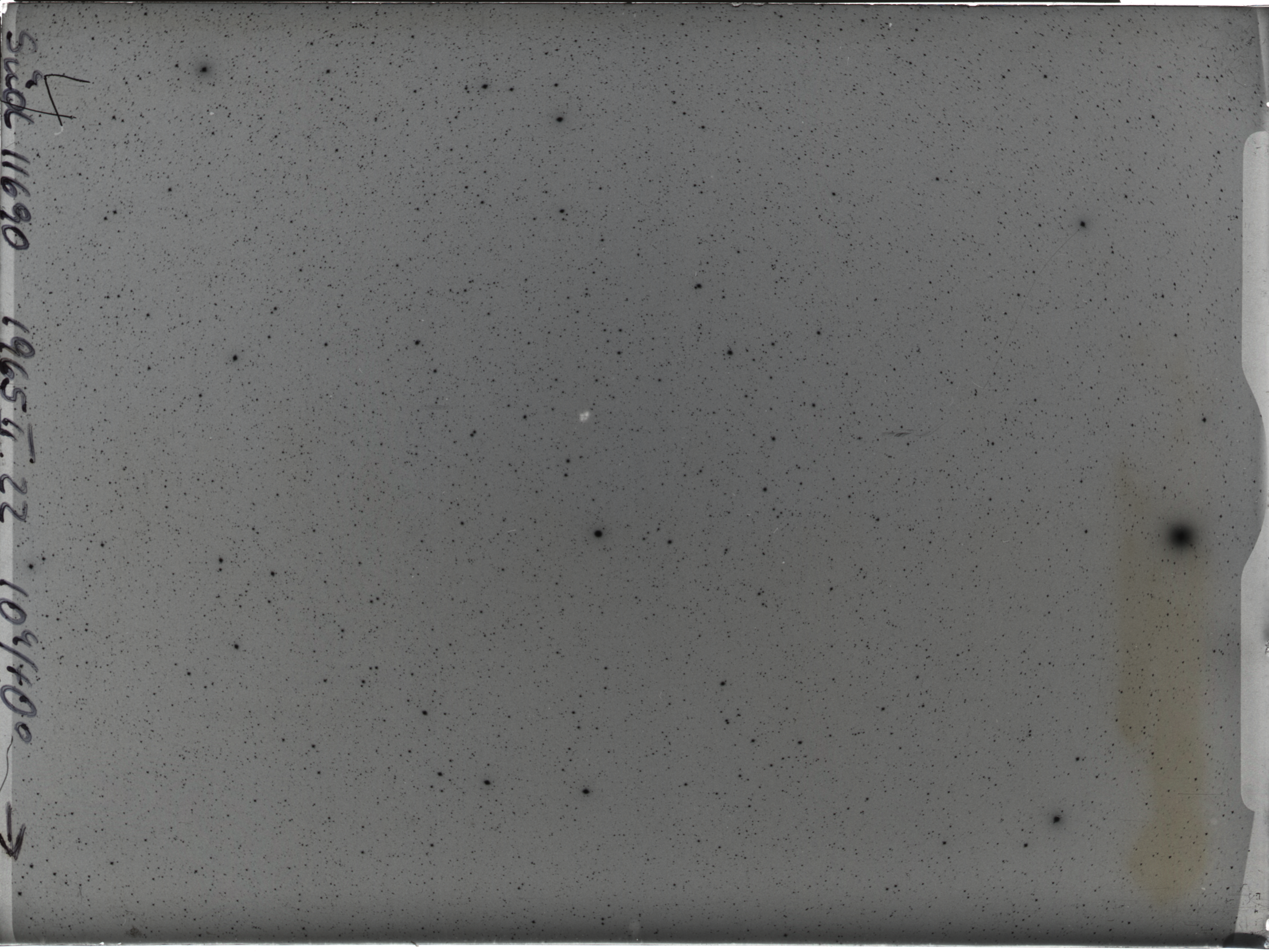 Plate preview