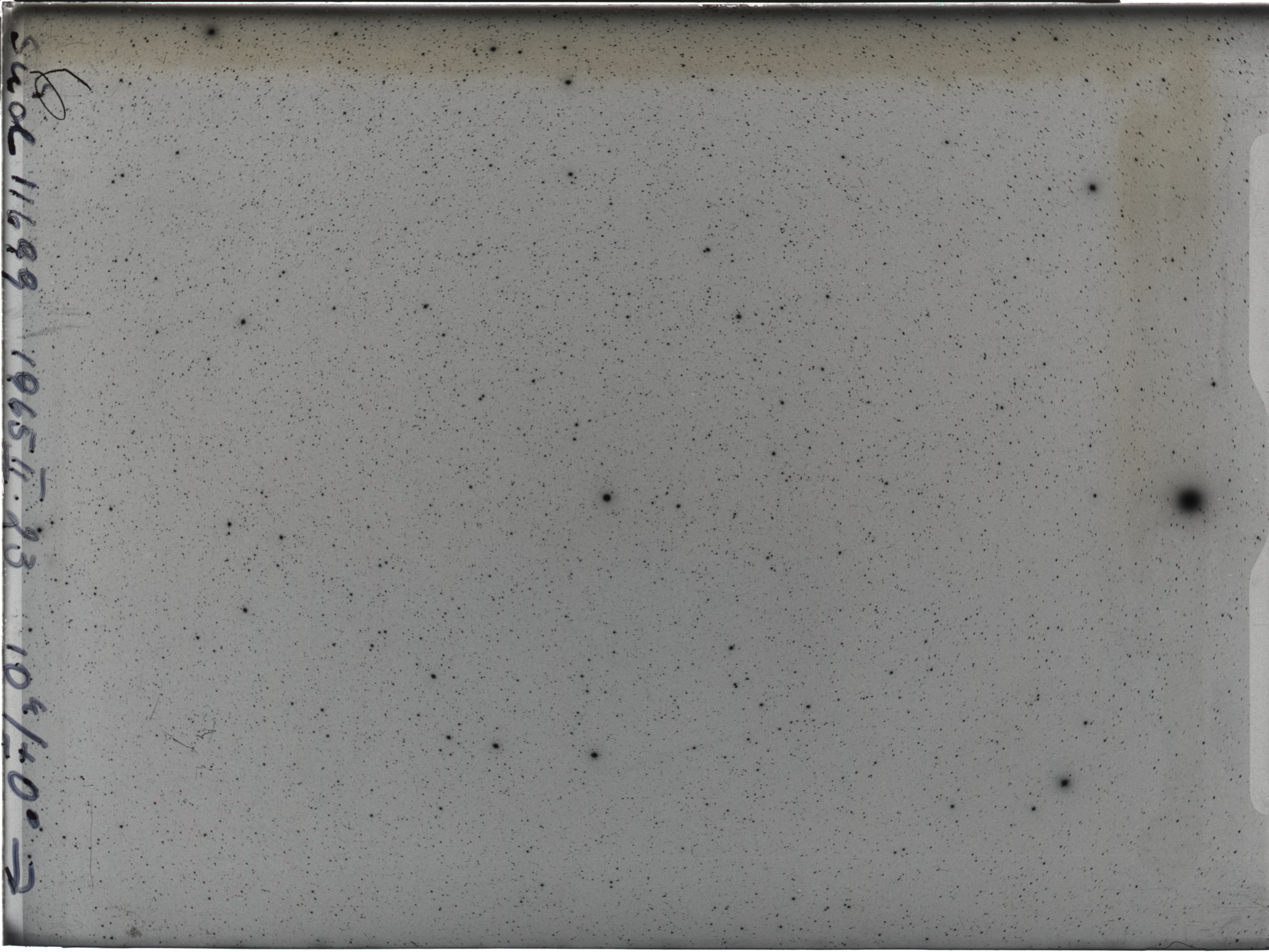 Plate preview