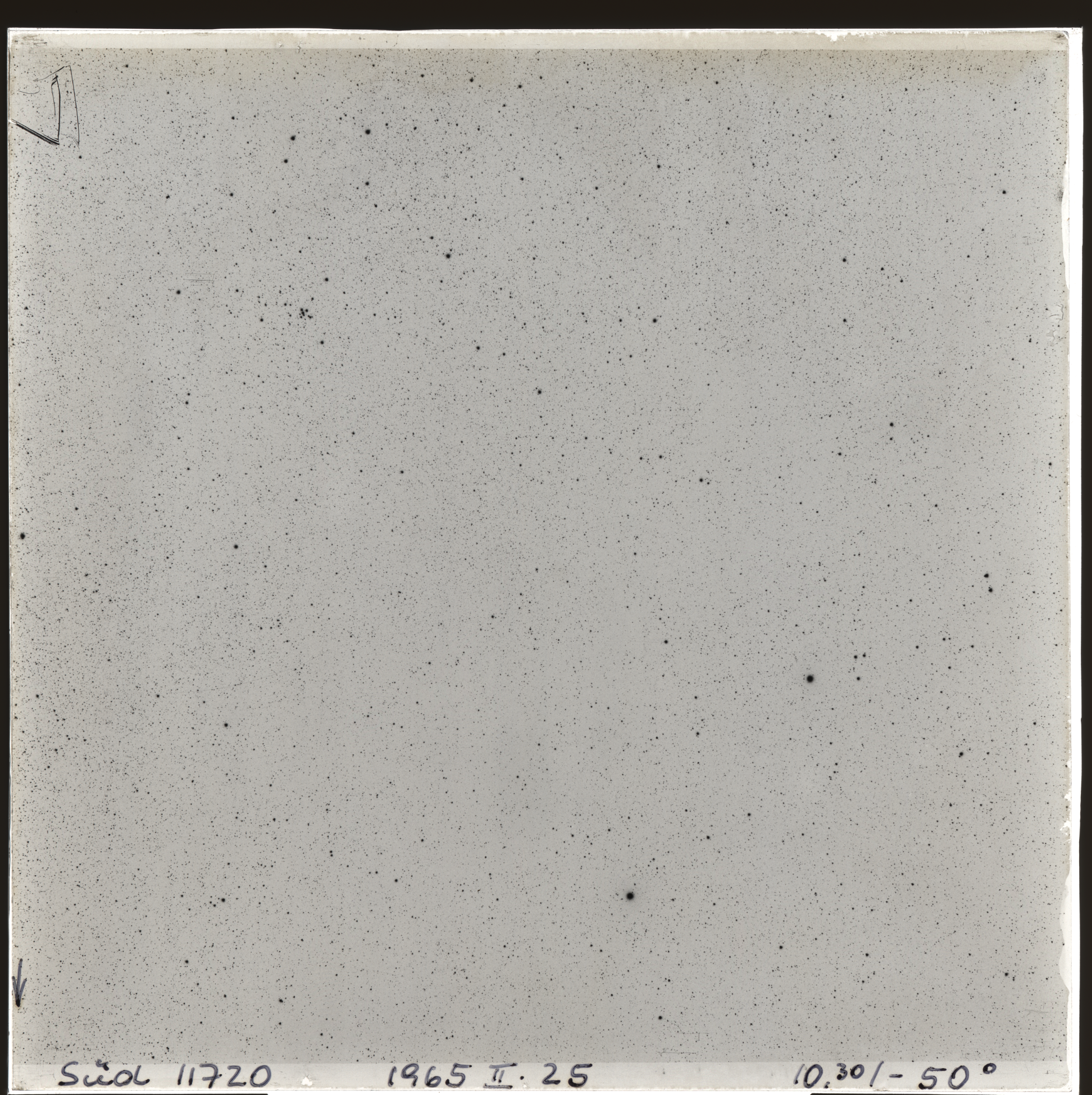 Plate preview