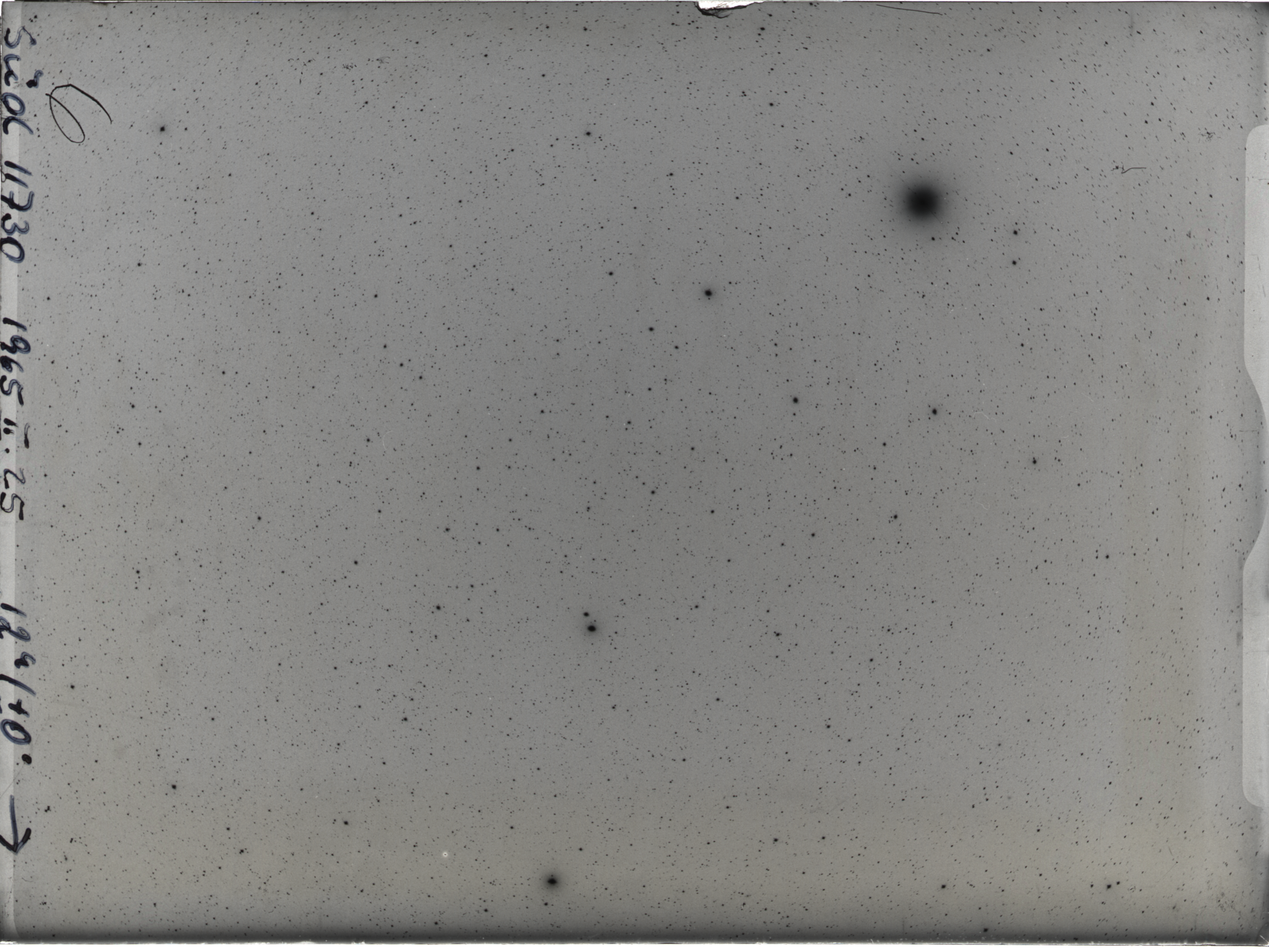 Plate preview