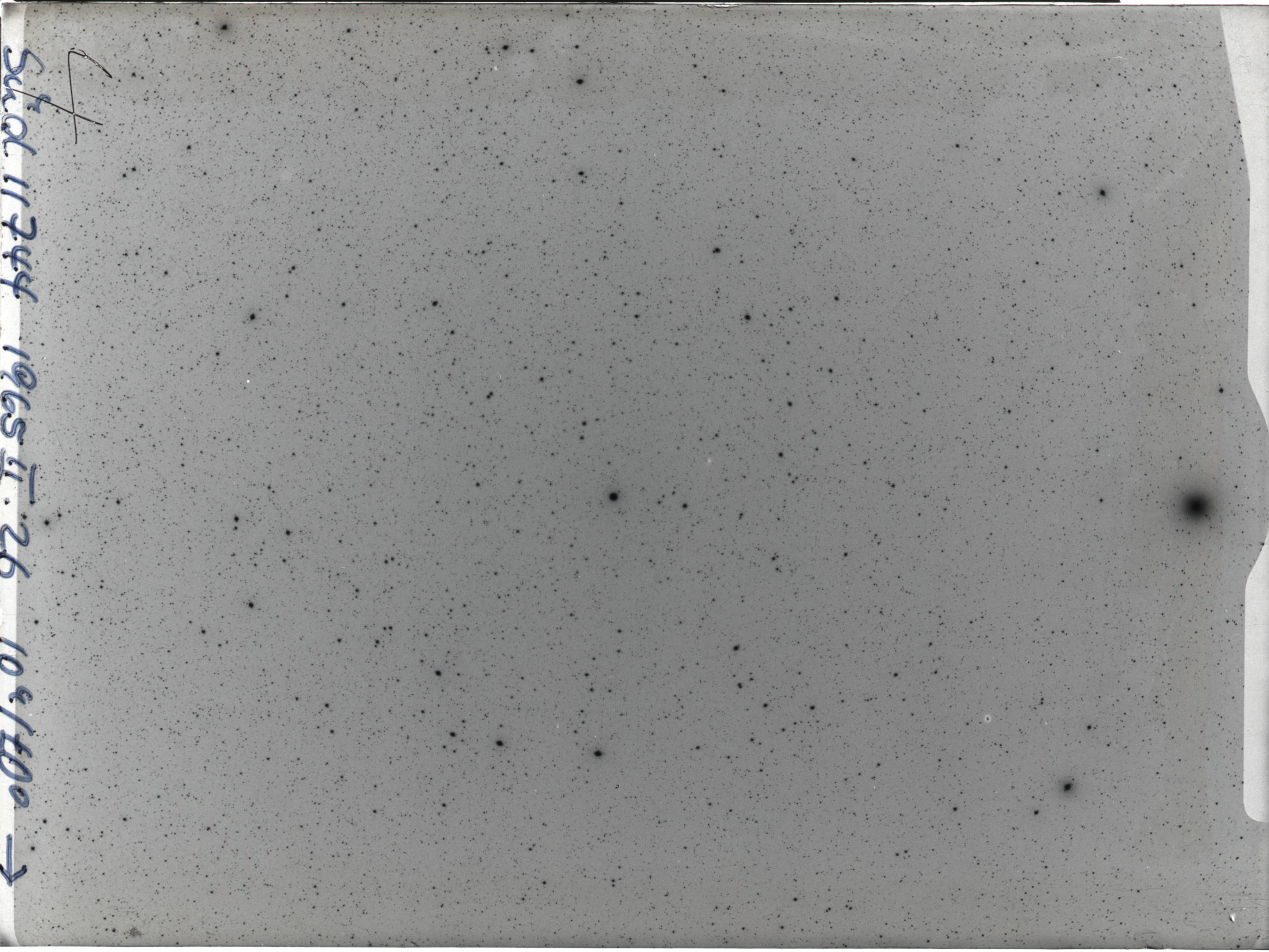 Plate preview