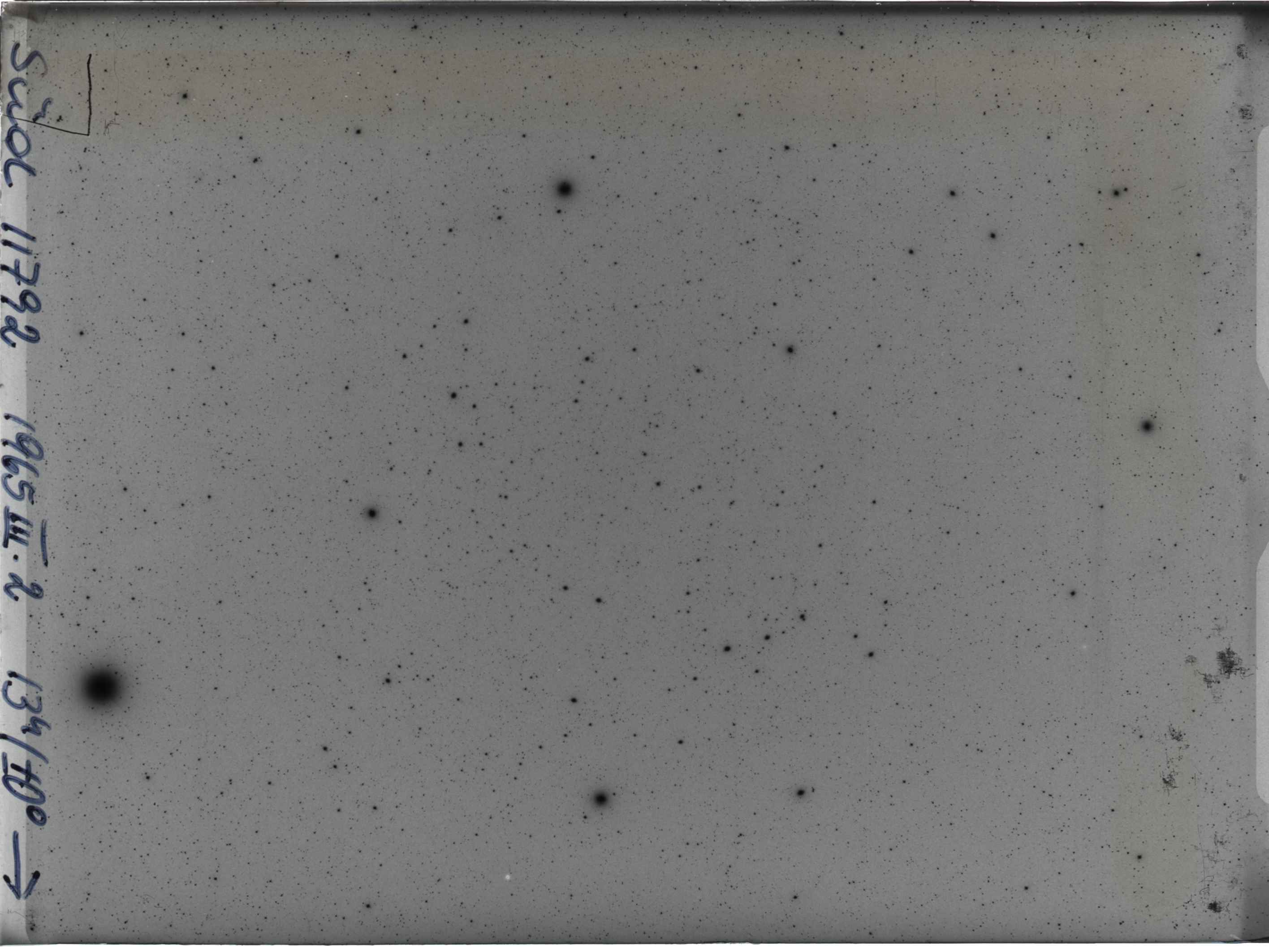 Plate preview
