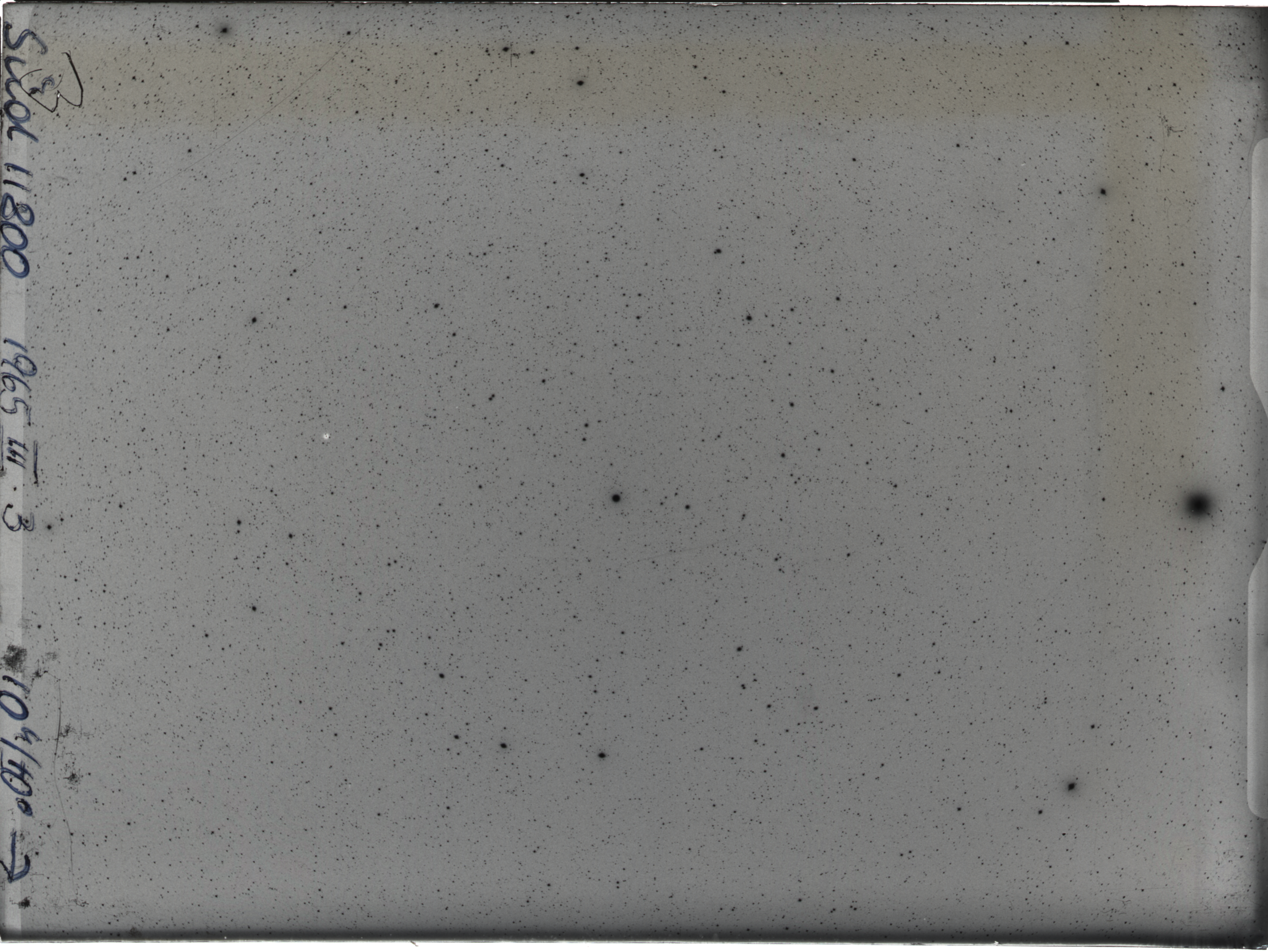 Plate preview