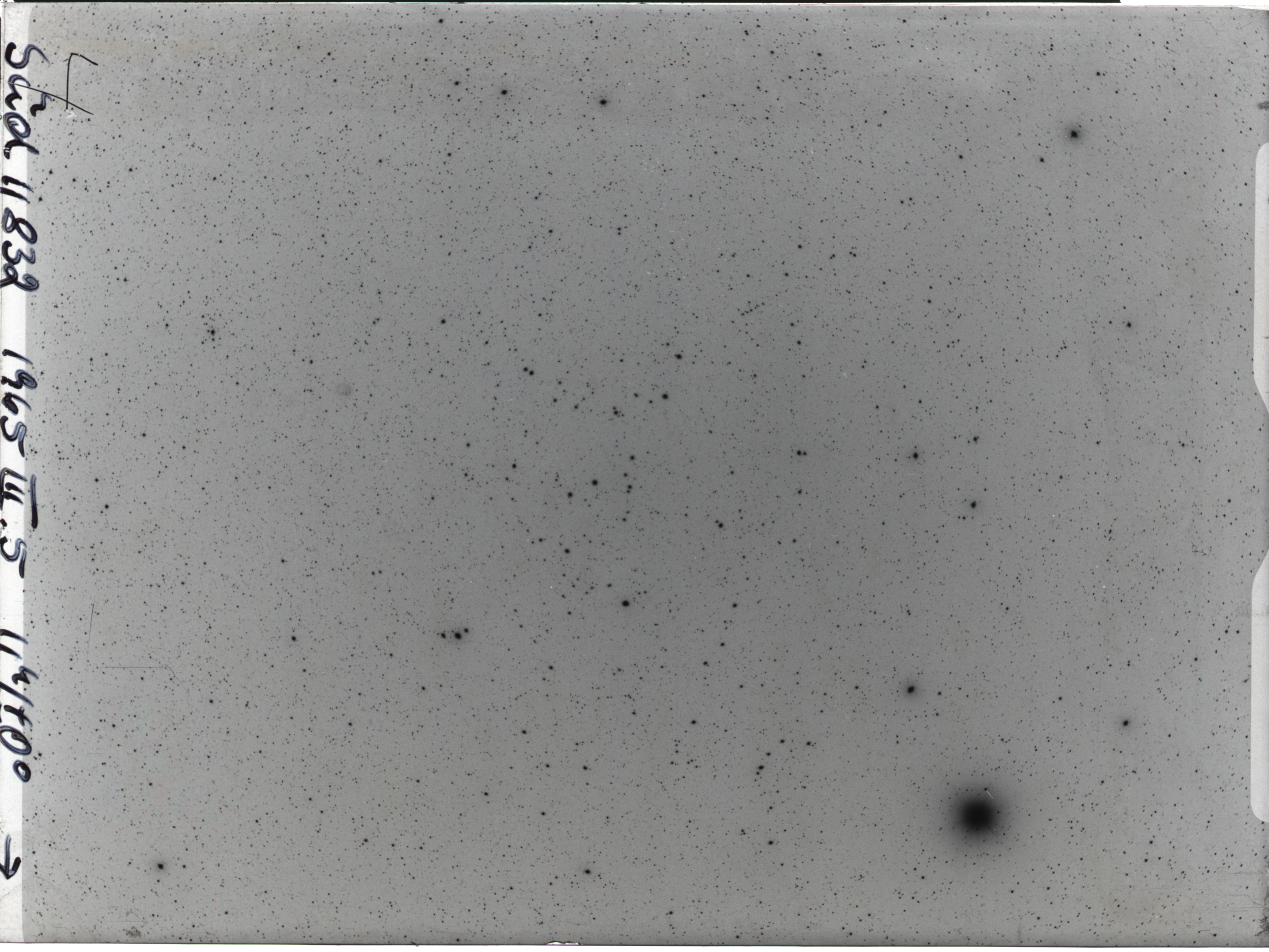Plate preview