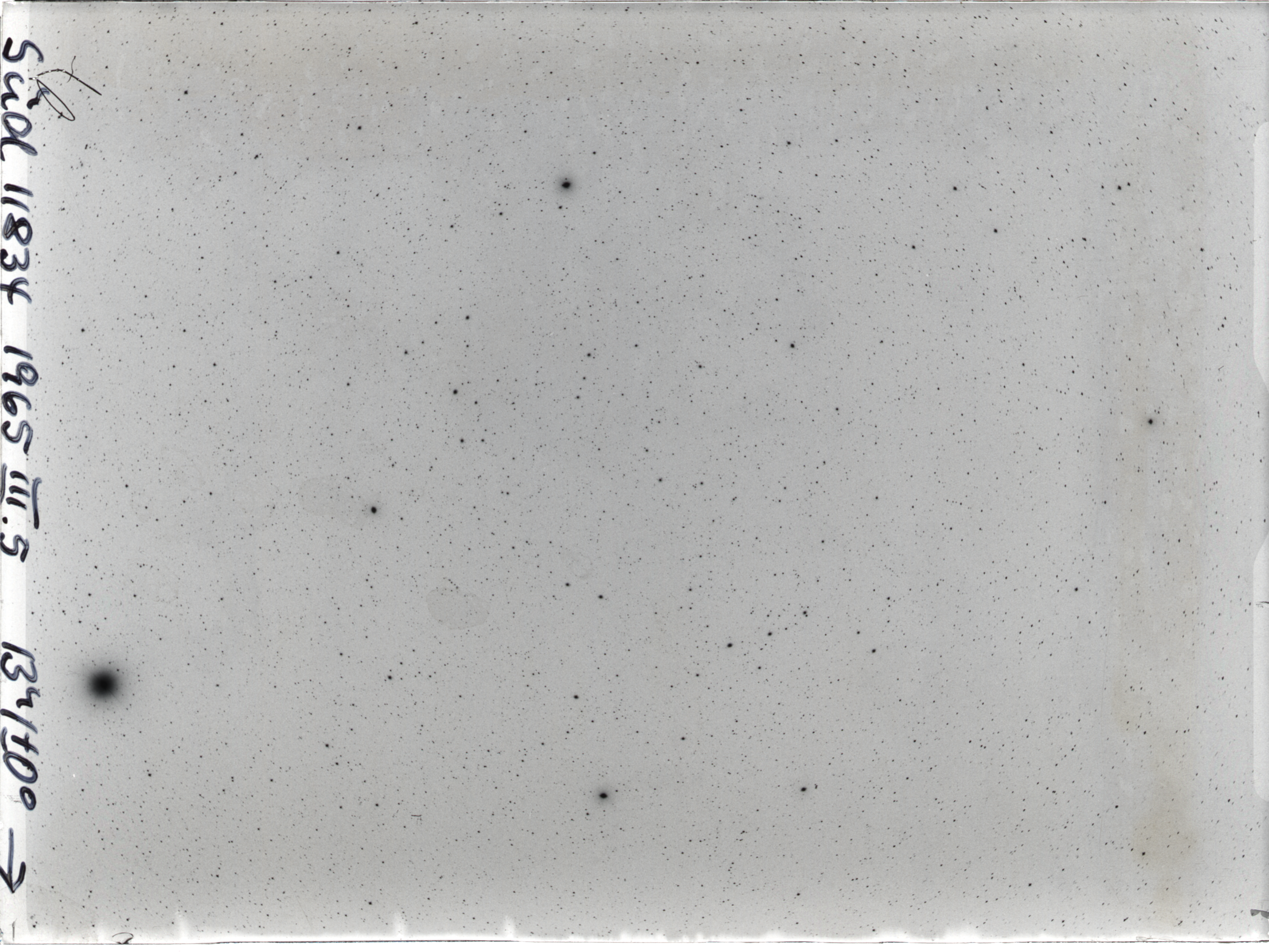 Plate preview