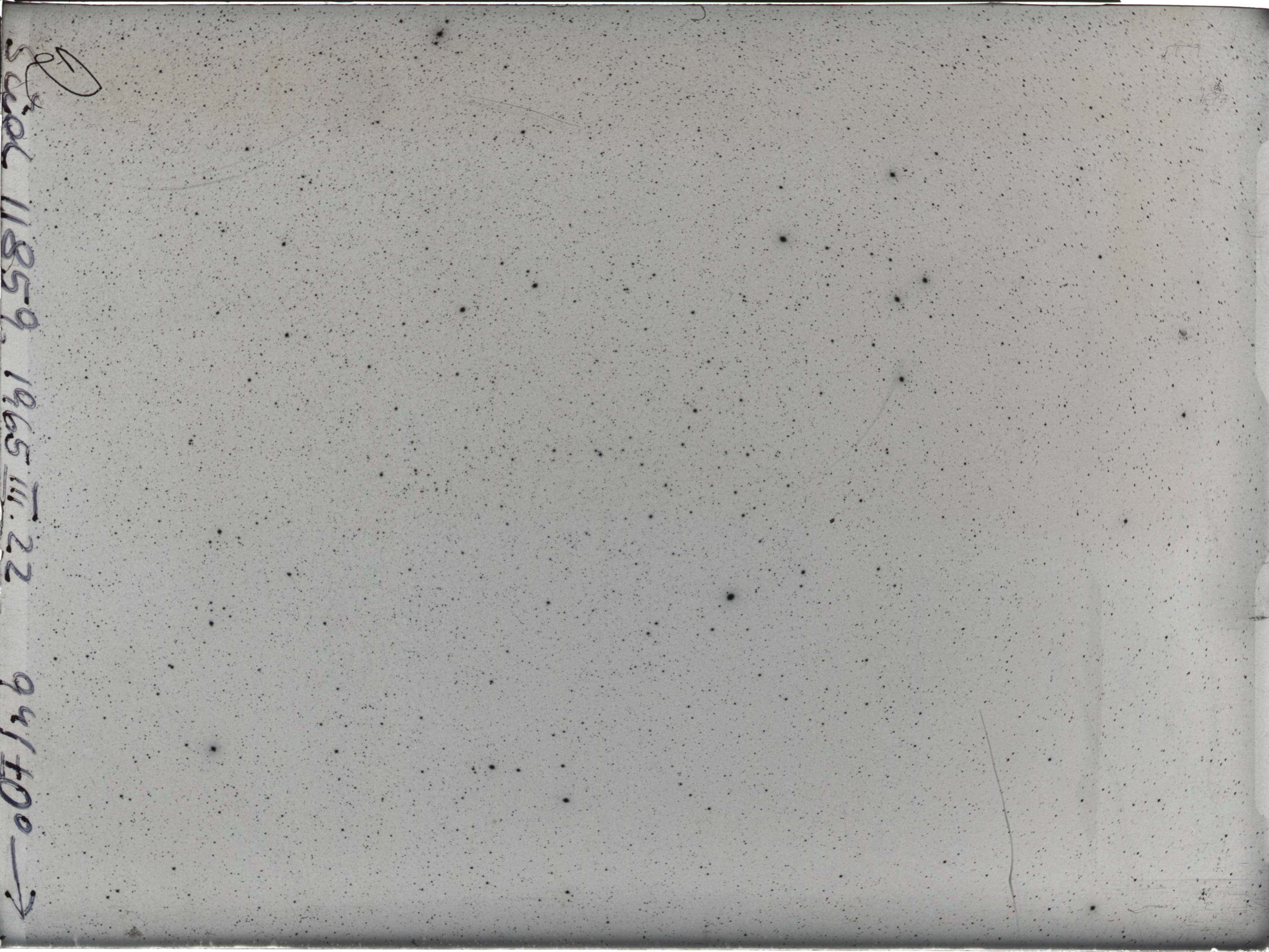 Plate preview
