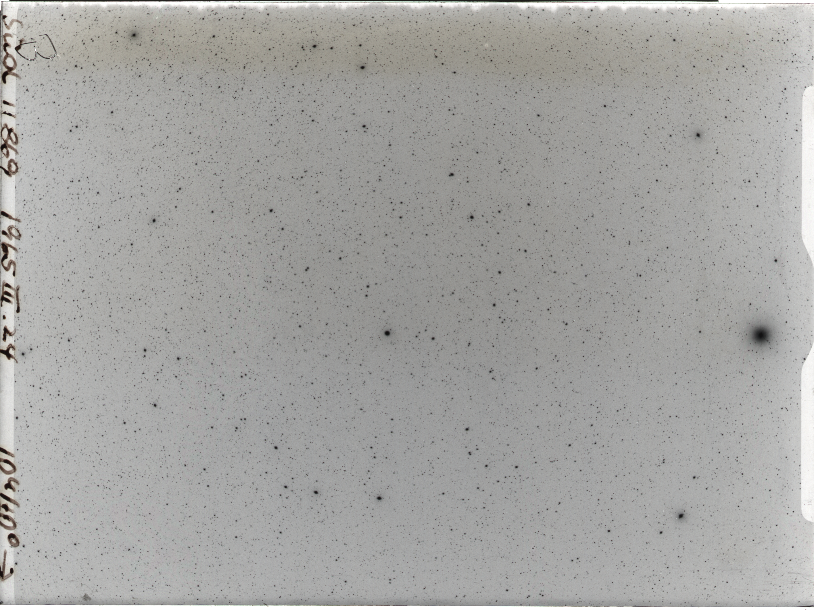 Plate preview