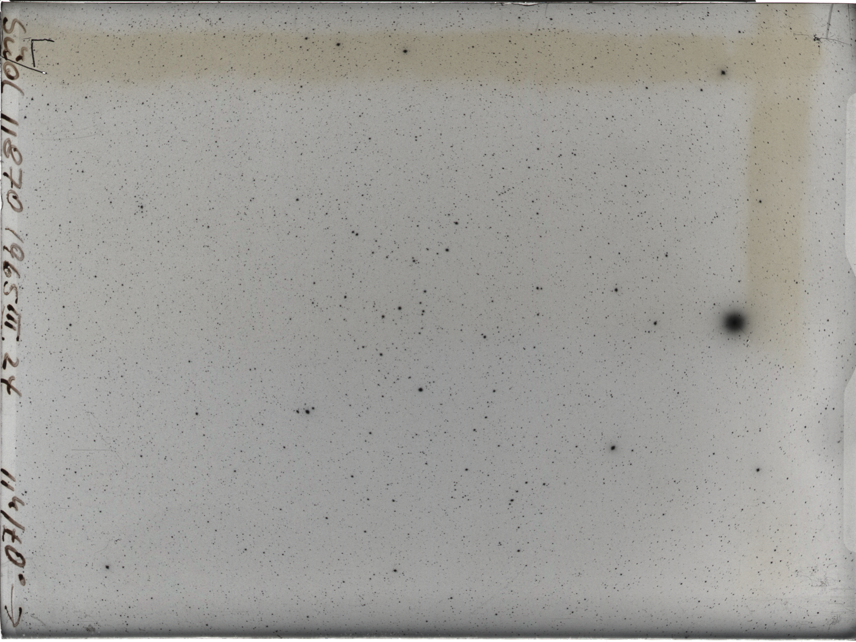 Plate preview