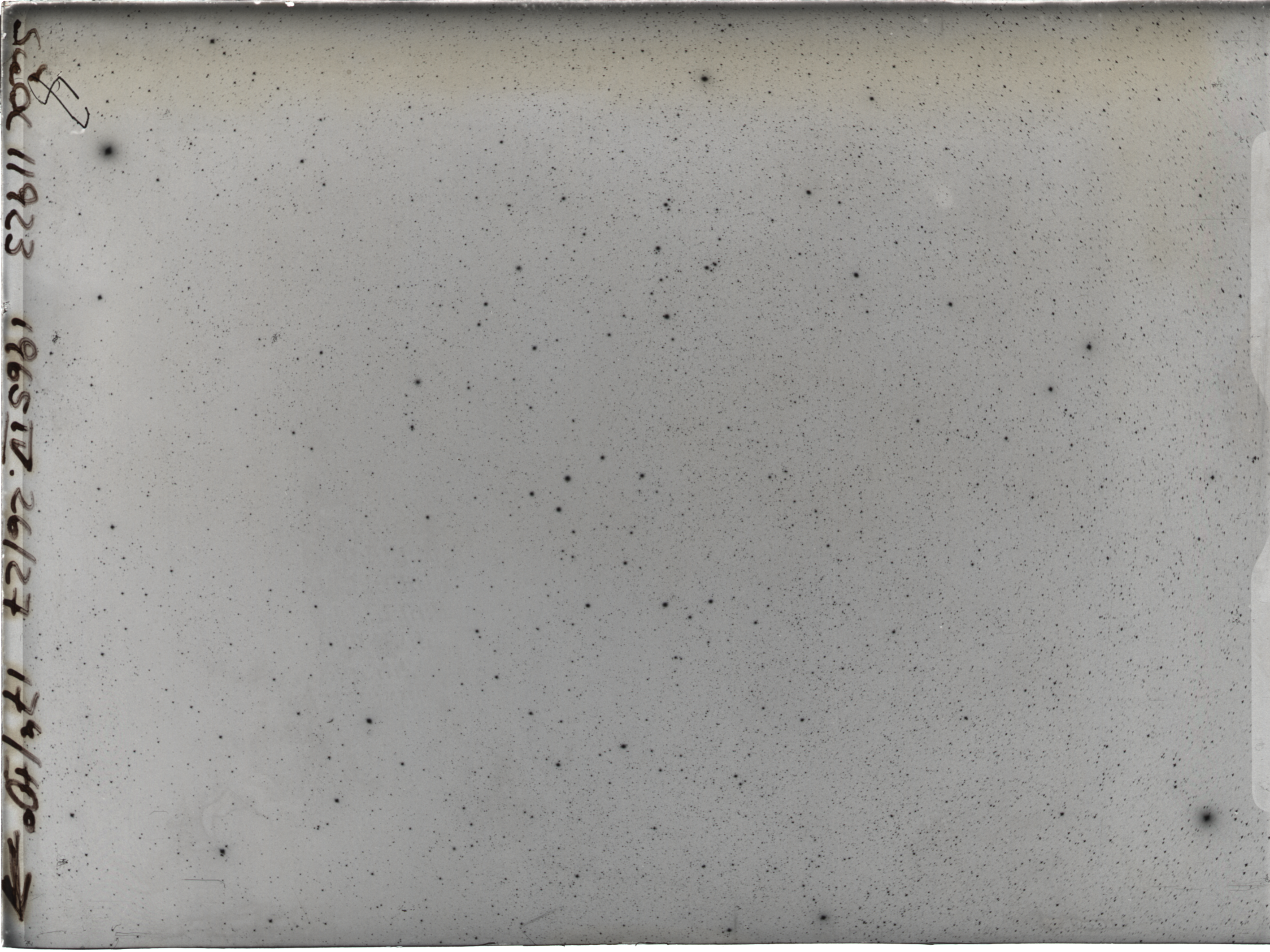 Plate preview