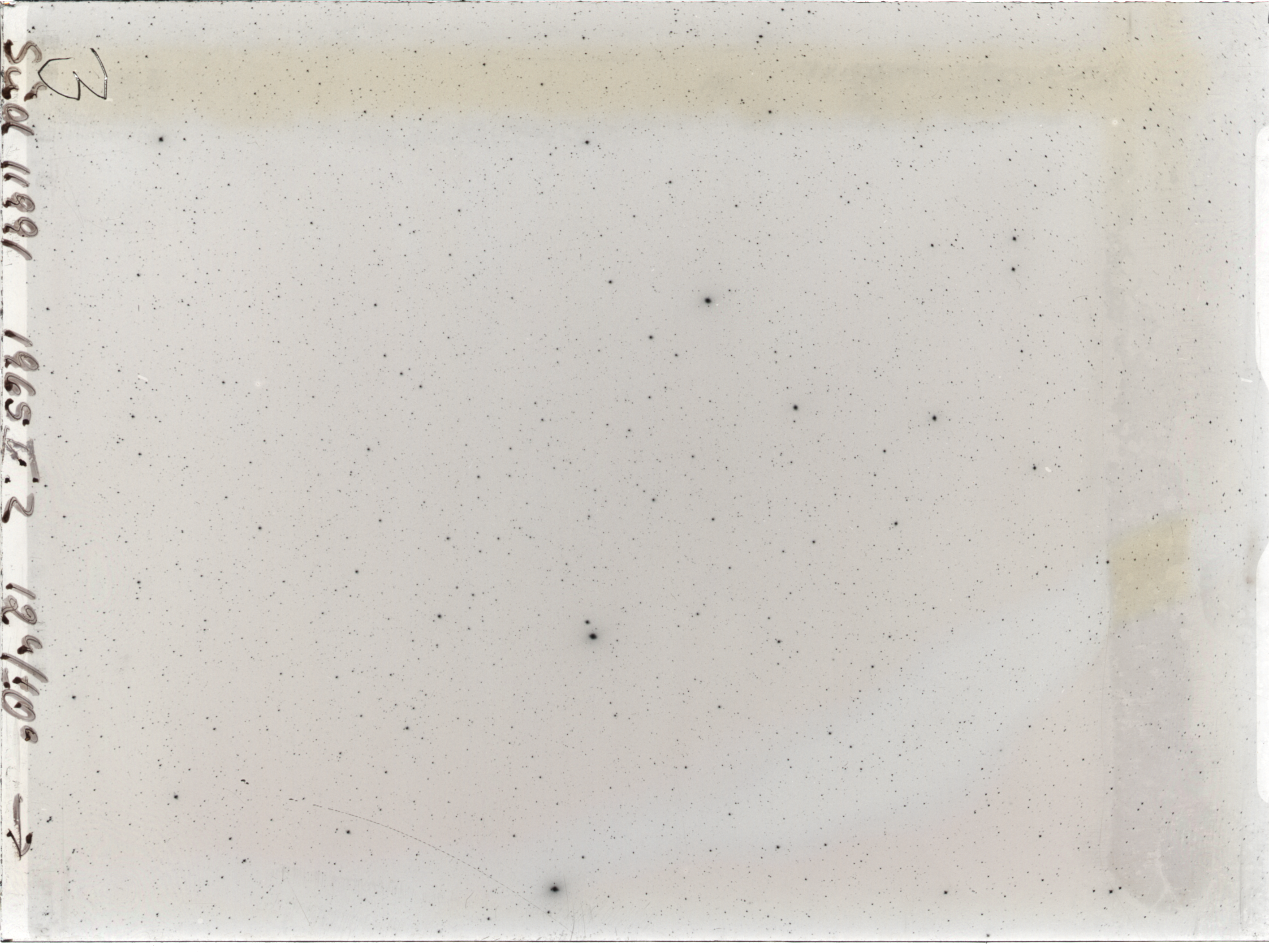 Plate preview