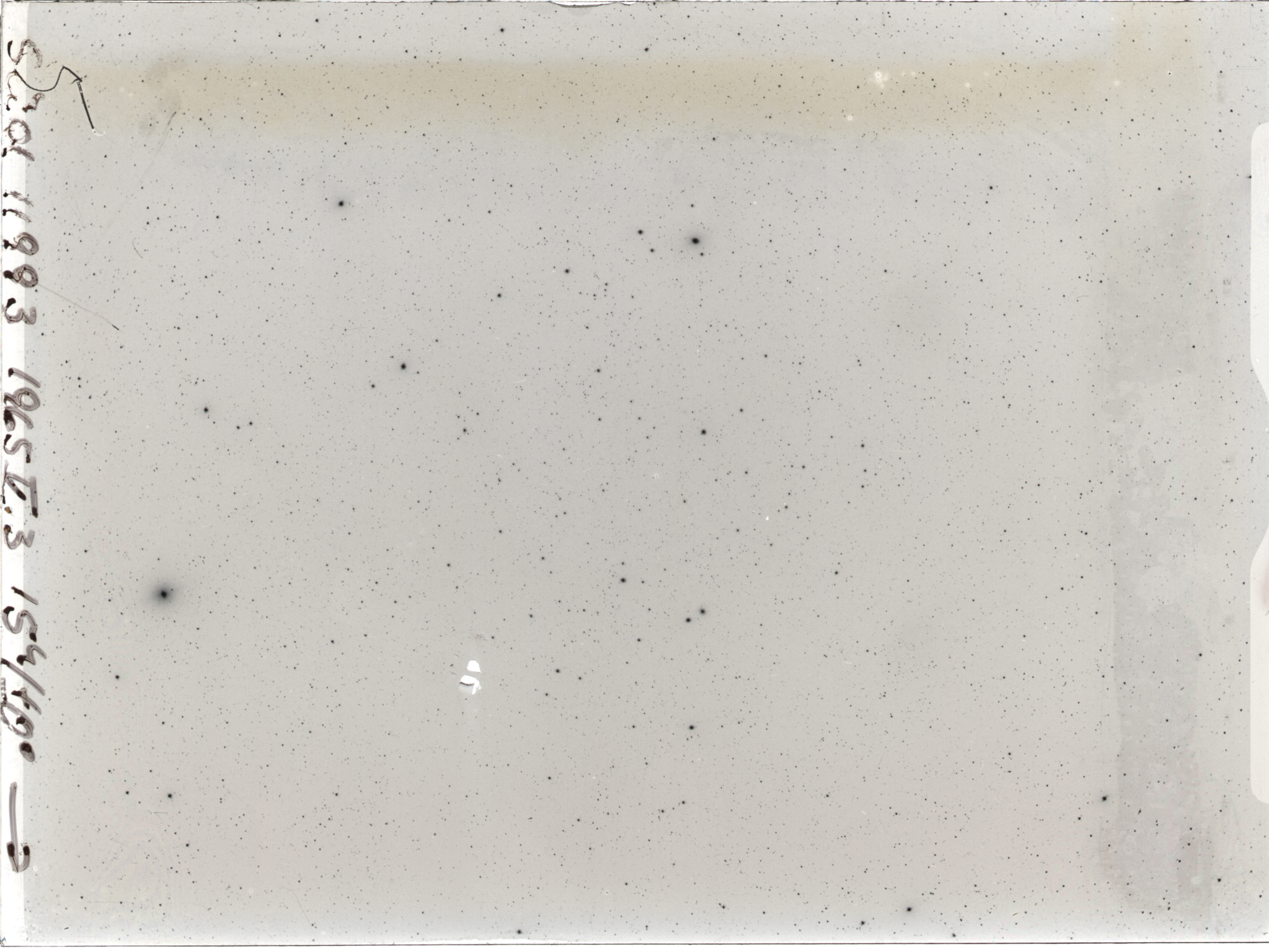 Plate preview