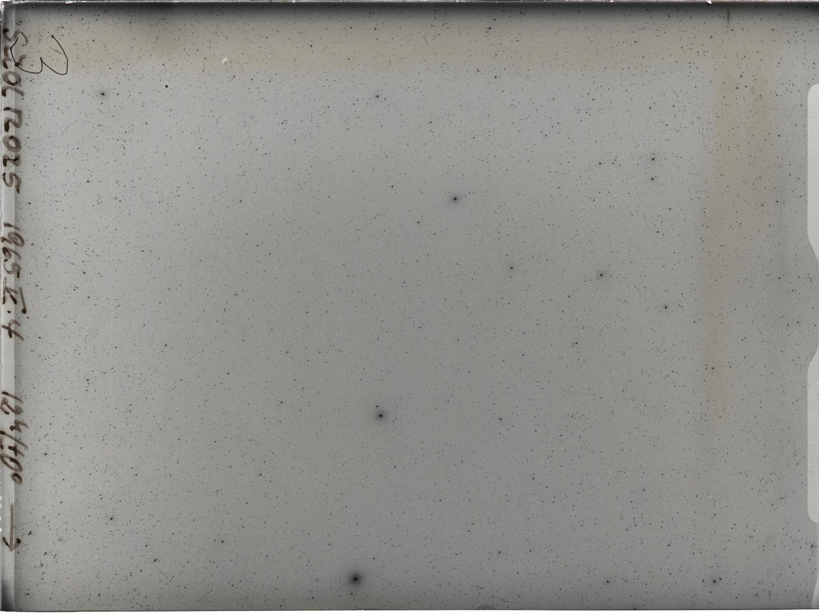 Plate preview