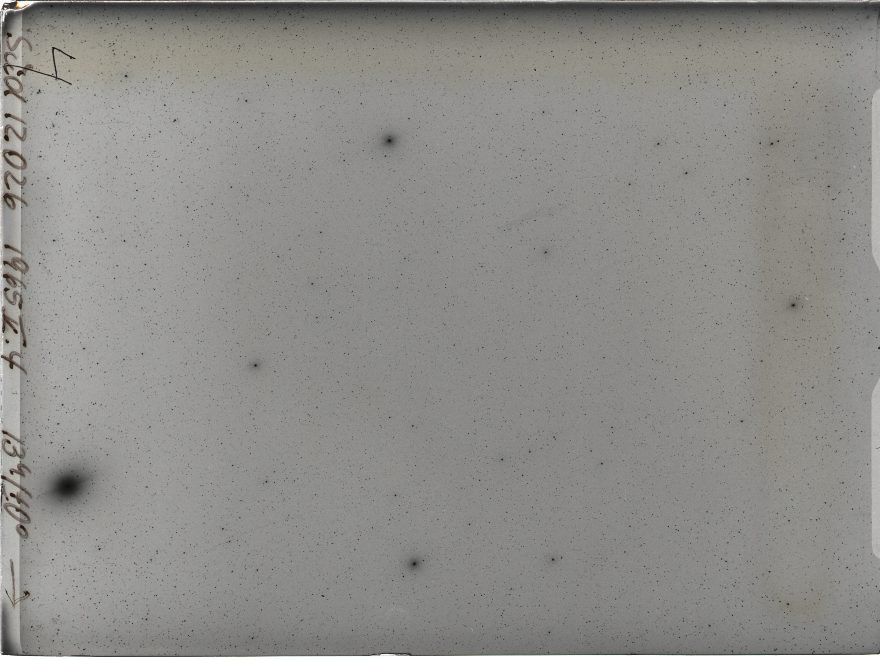 Plate preview