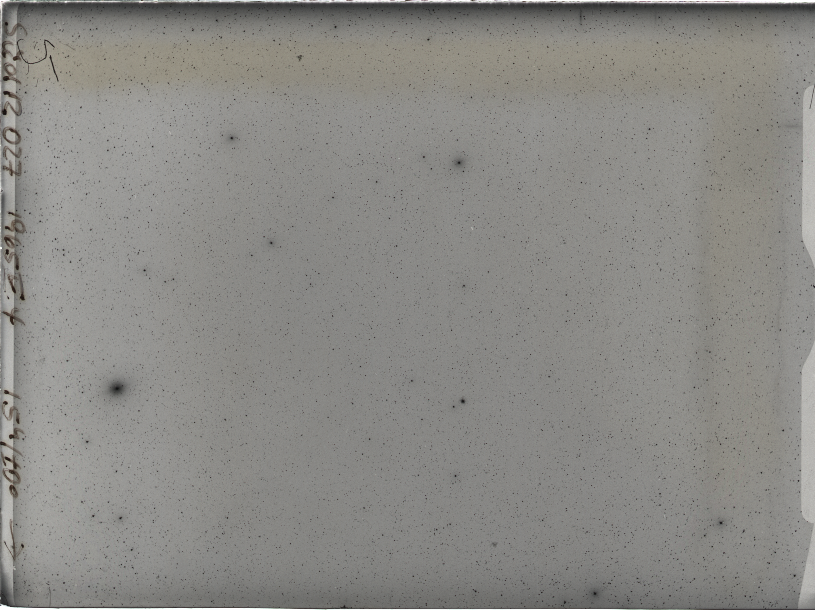 Plate preview