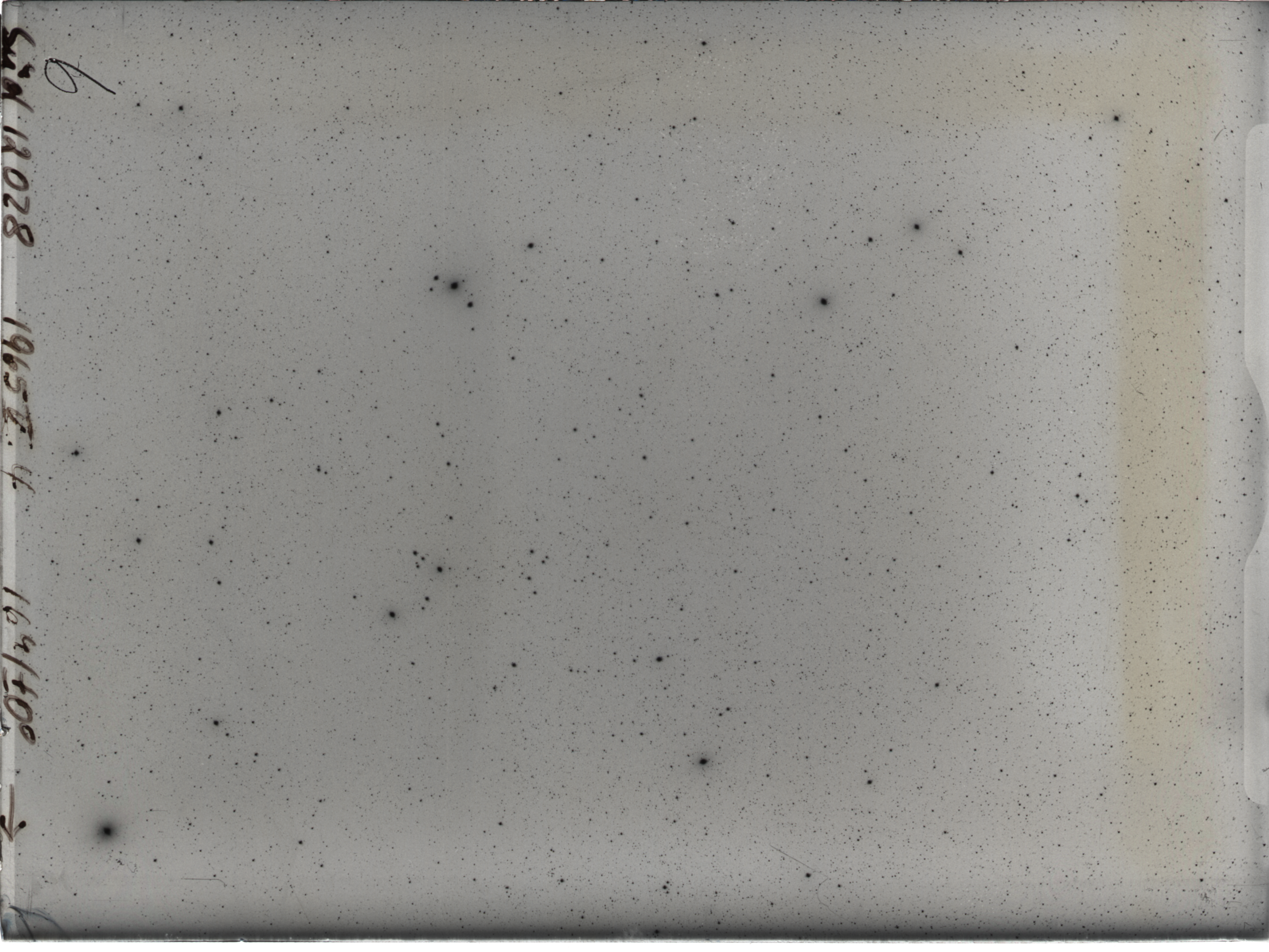 Plate preview