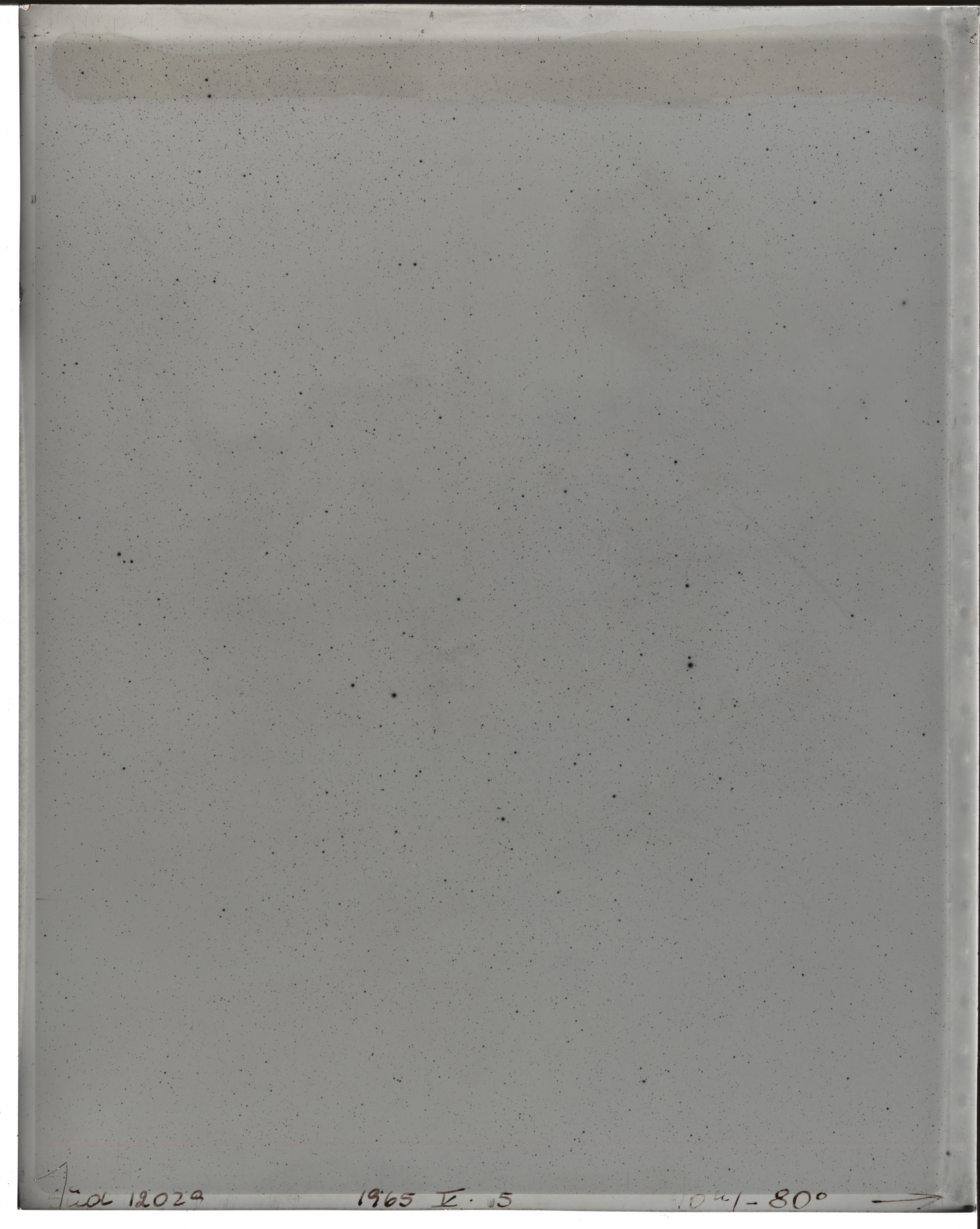 Plate preview