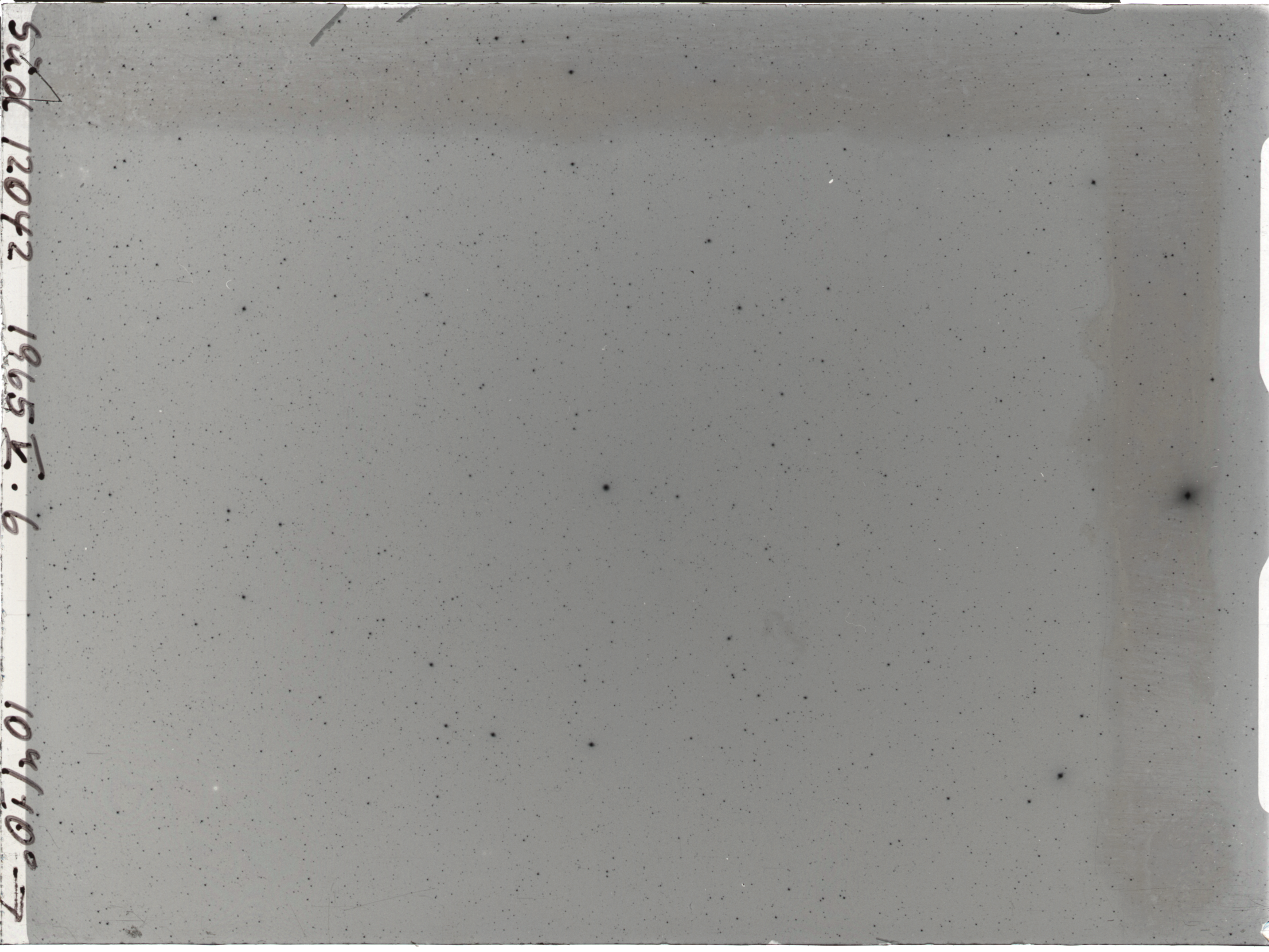 Plate preview