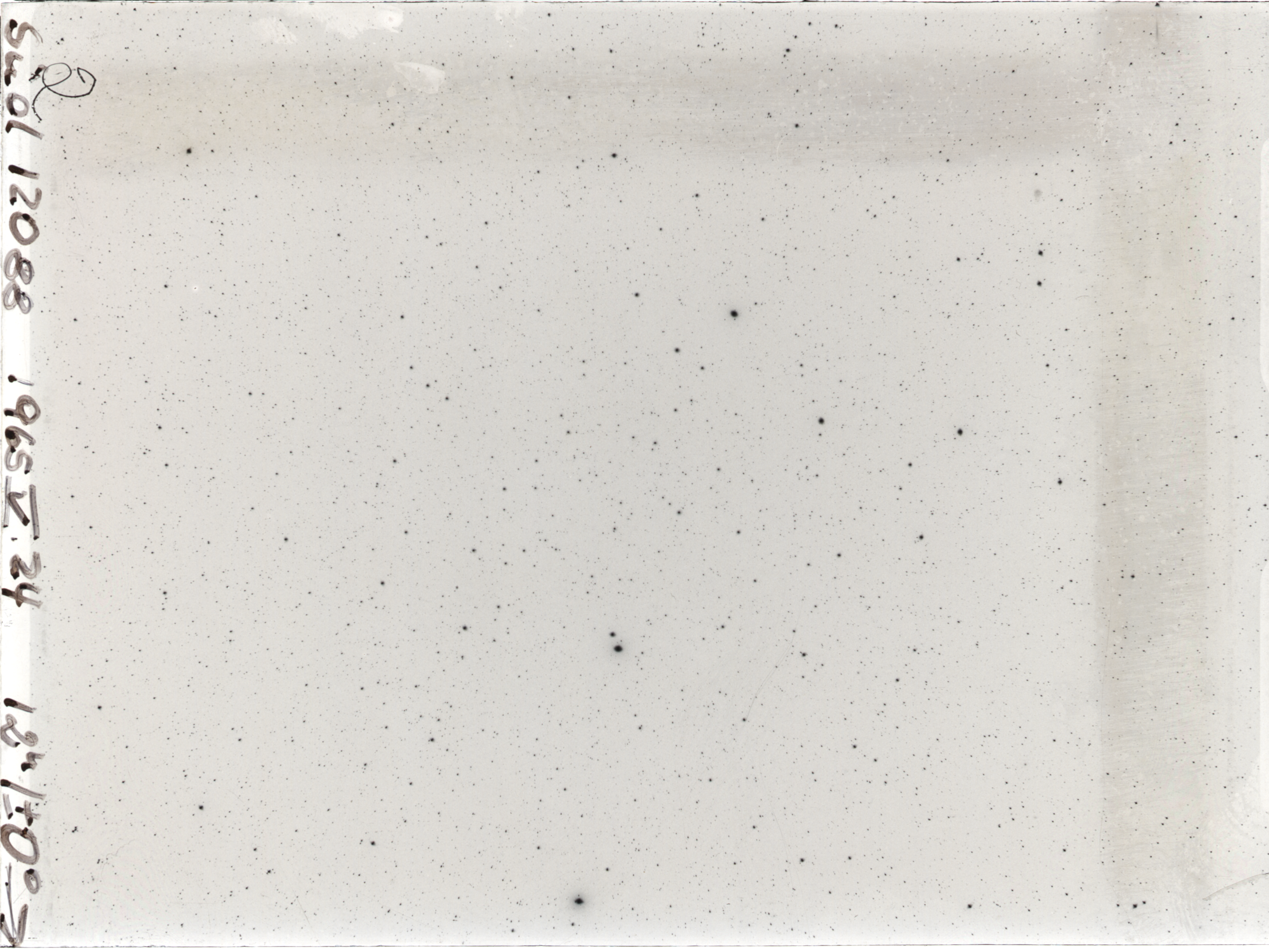 Plate preview
