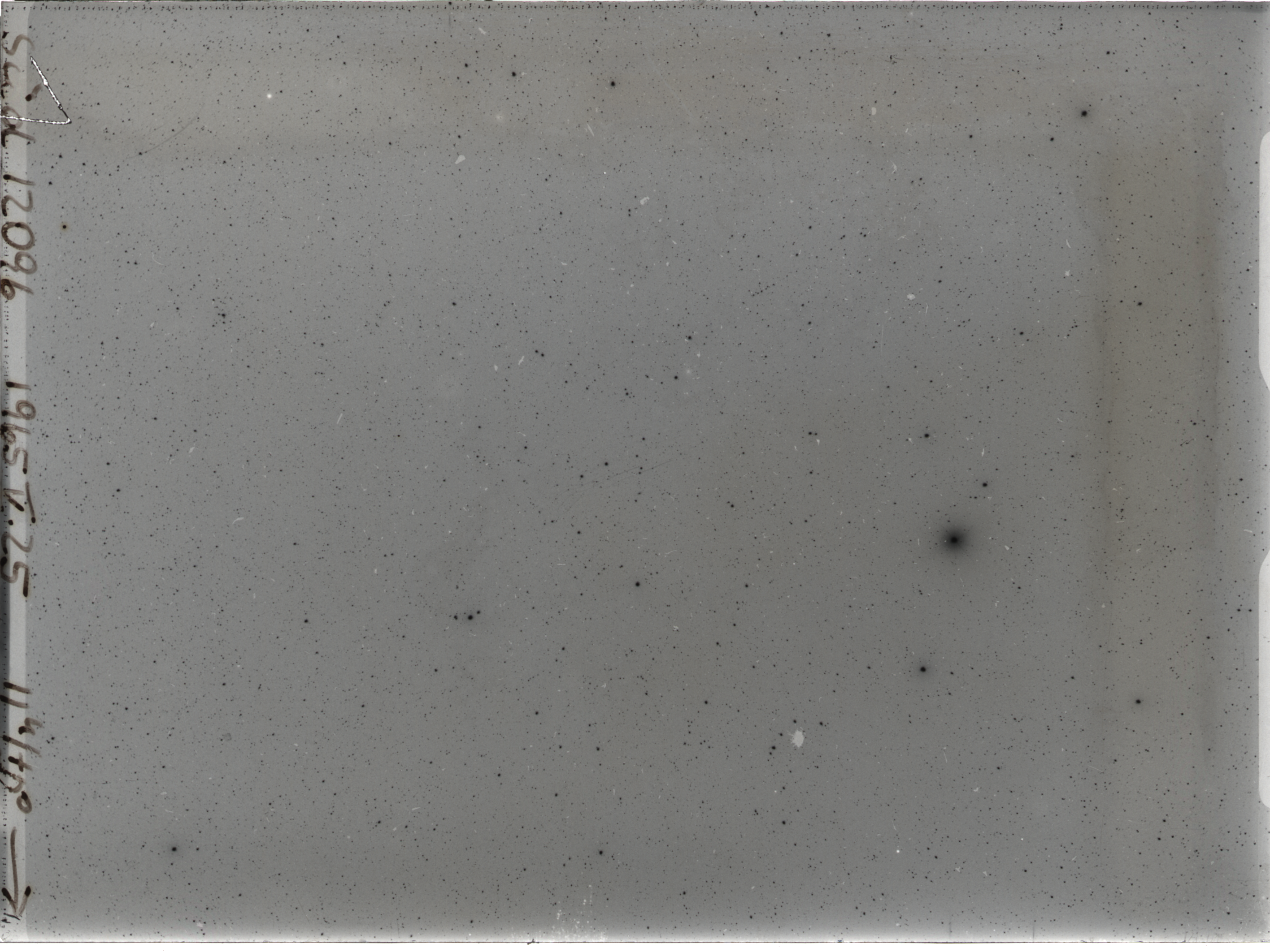 Plate preview