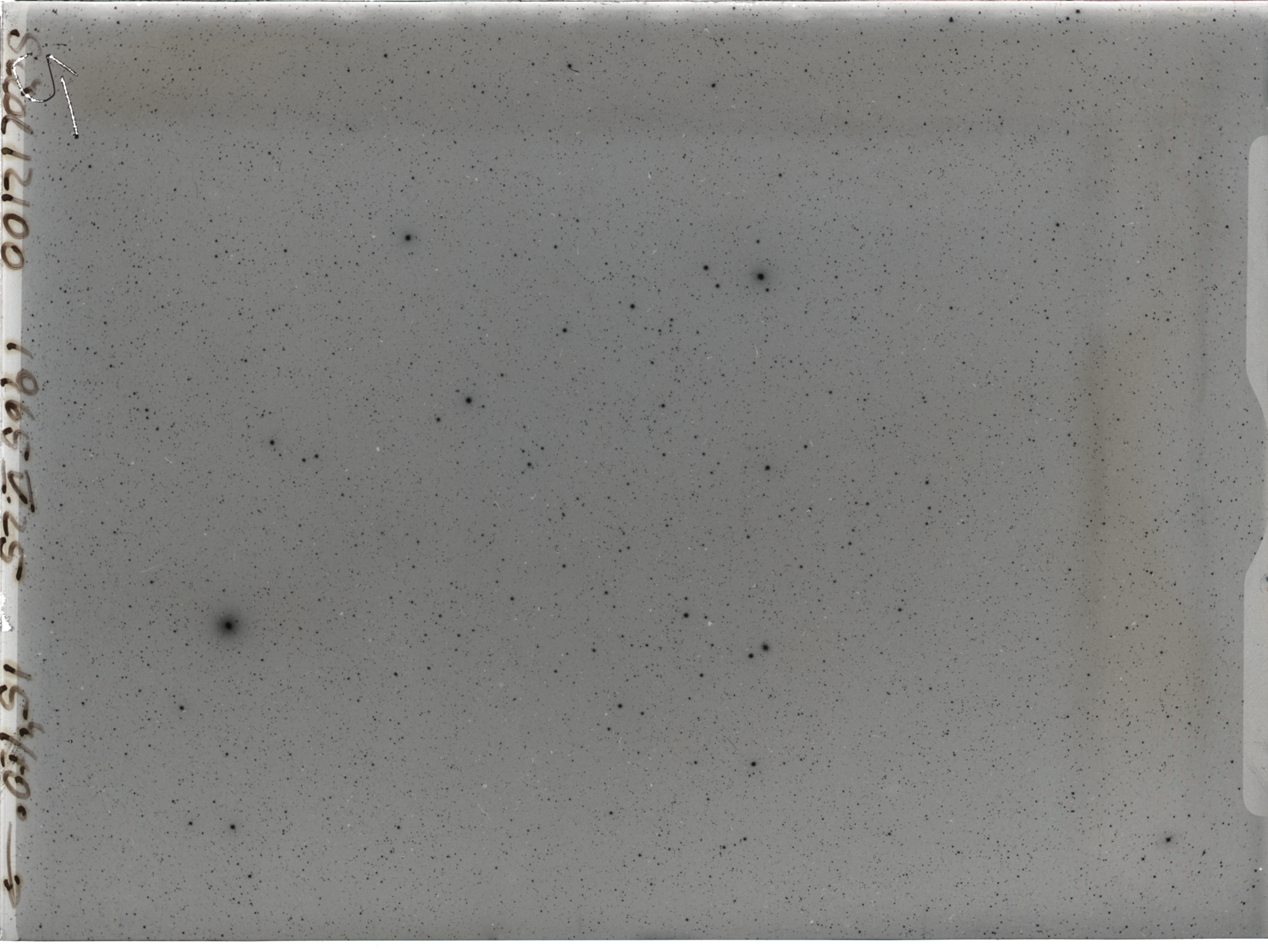 Plate preview