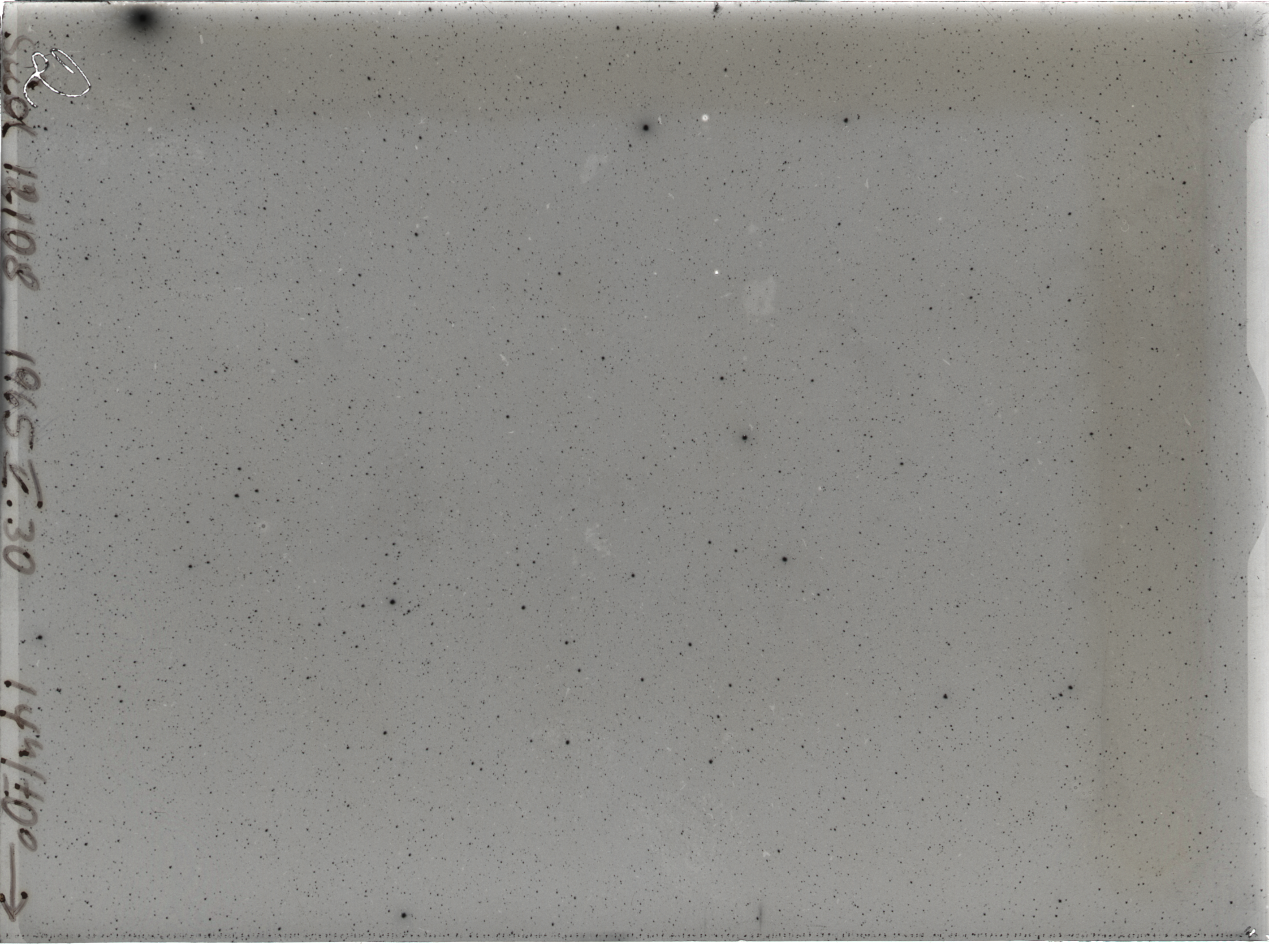 Plate preview