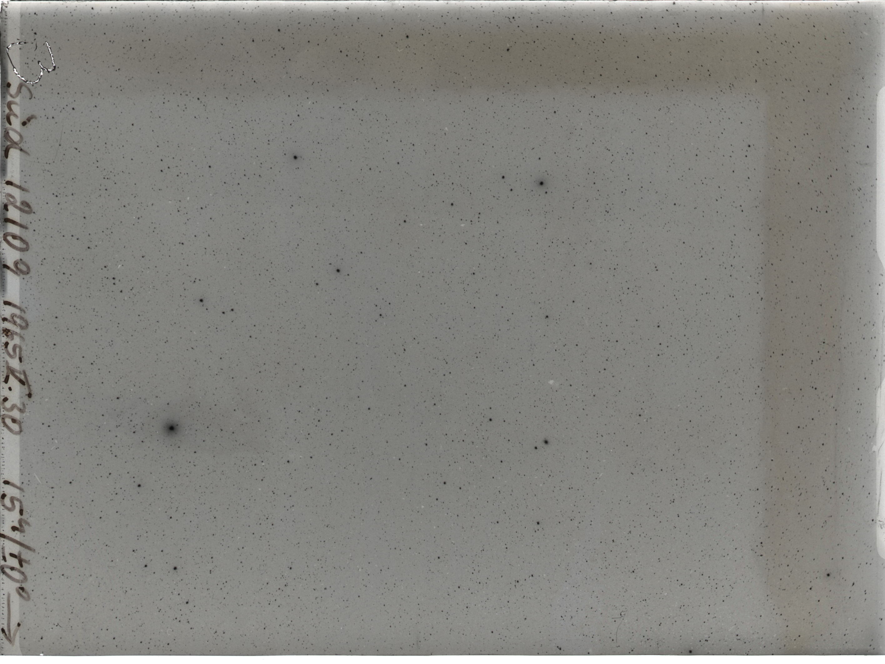 Plate preview