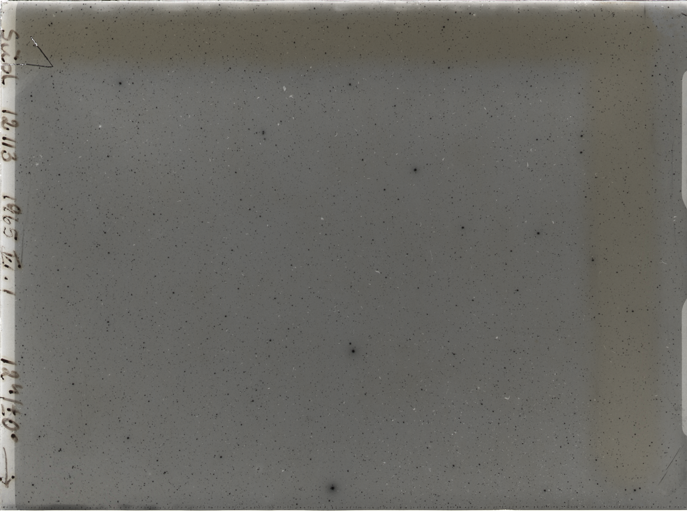 Plate preview