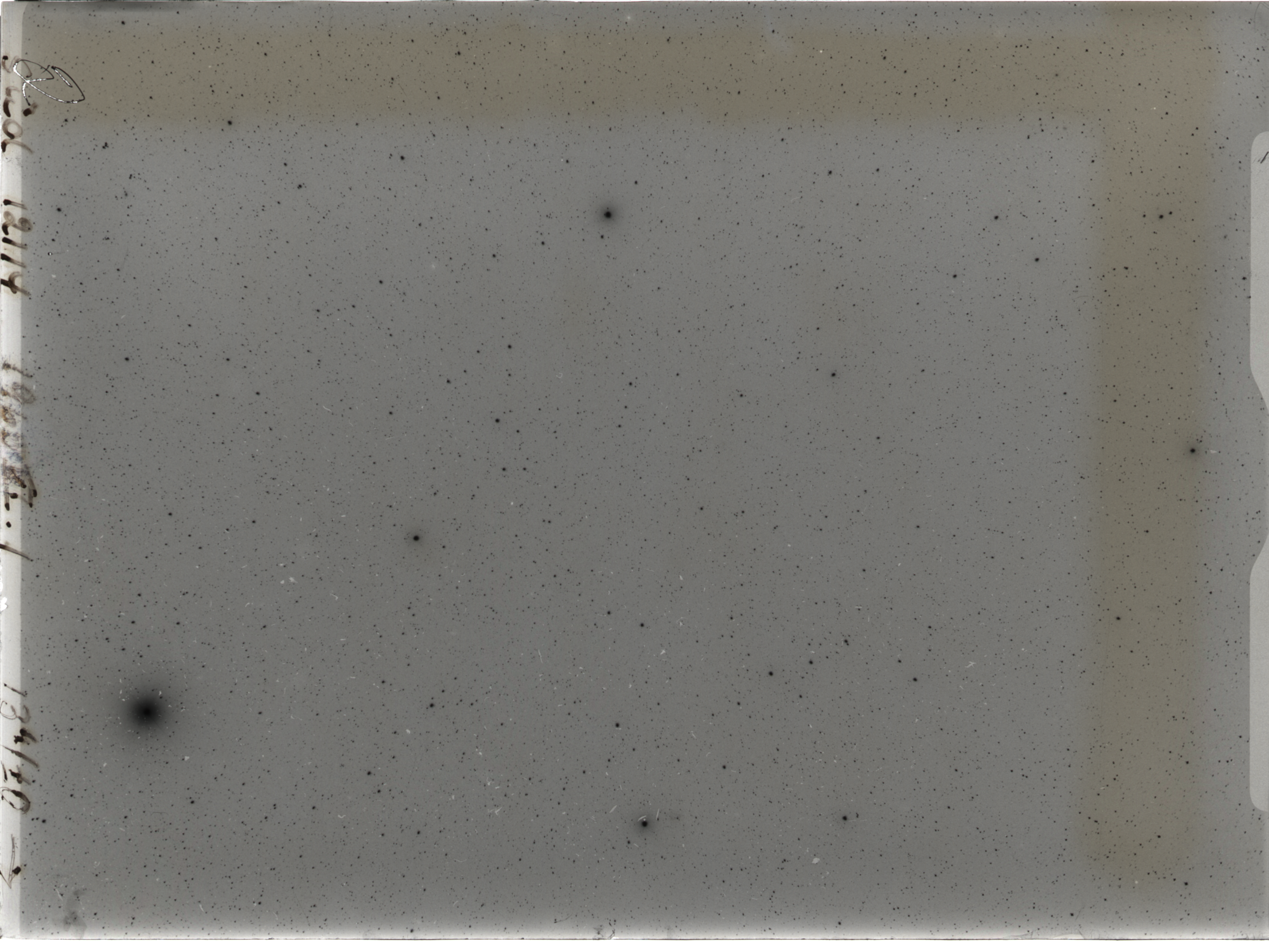 Plate preview