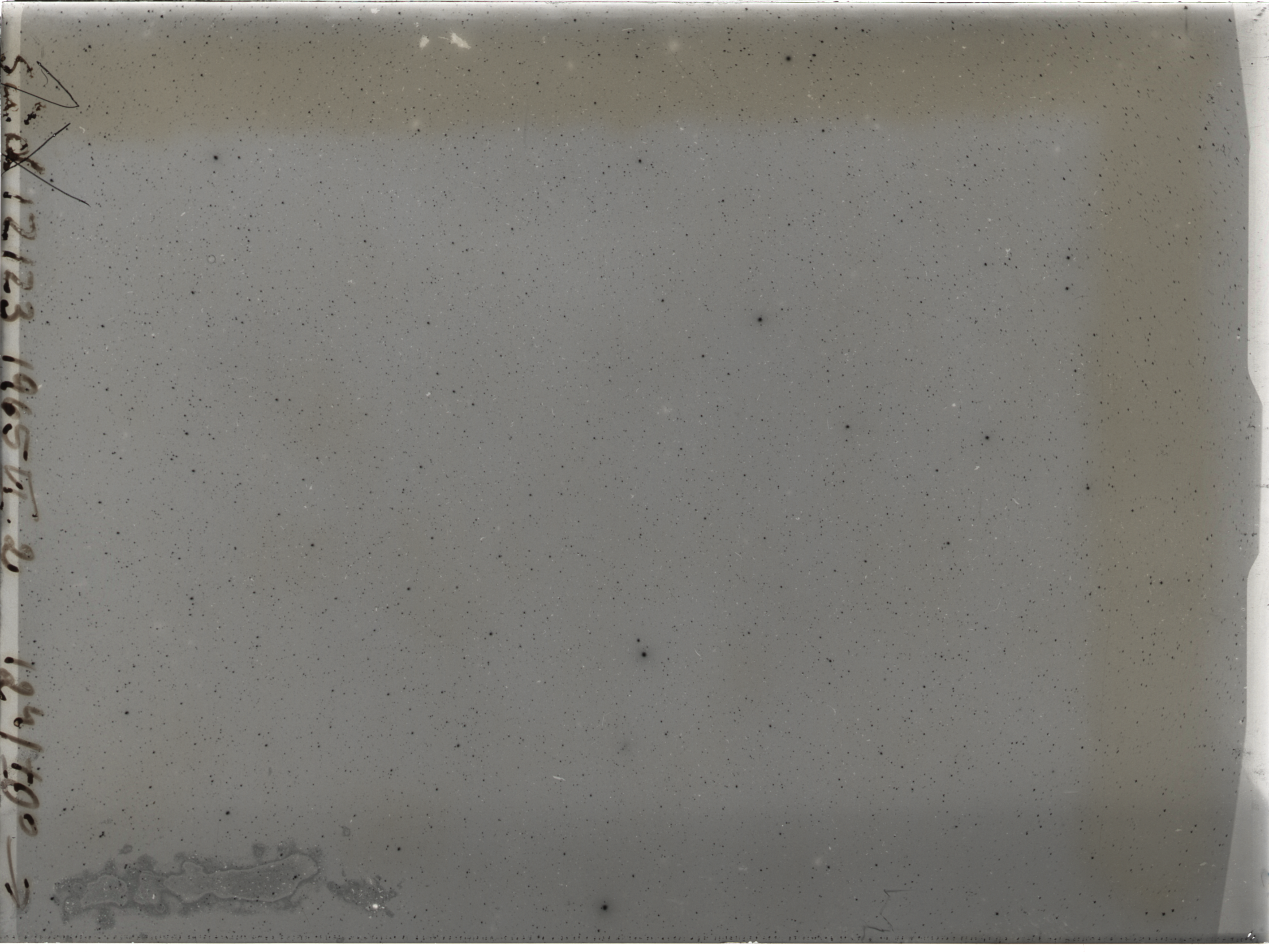 Plate preview