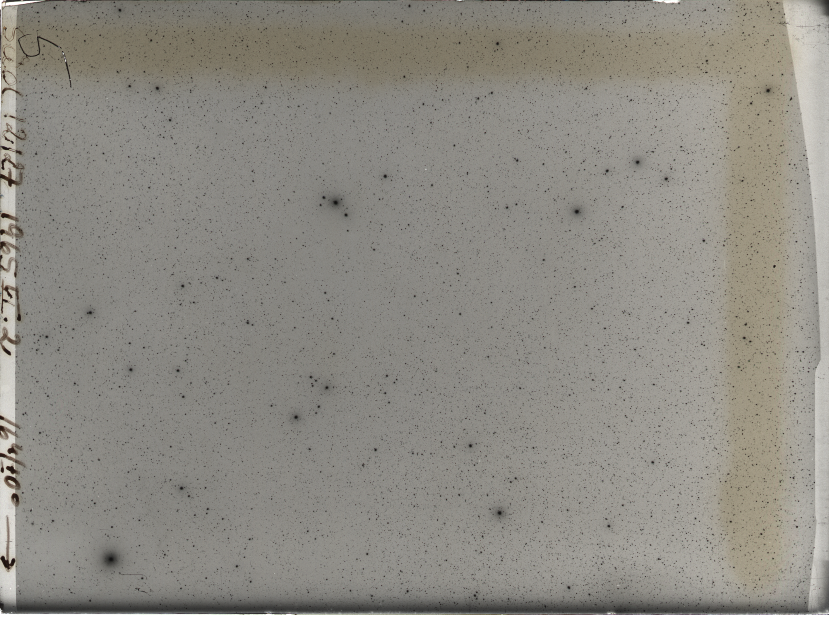 Plate preview