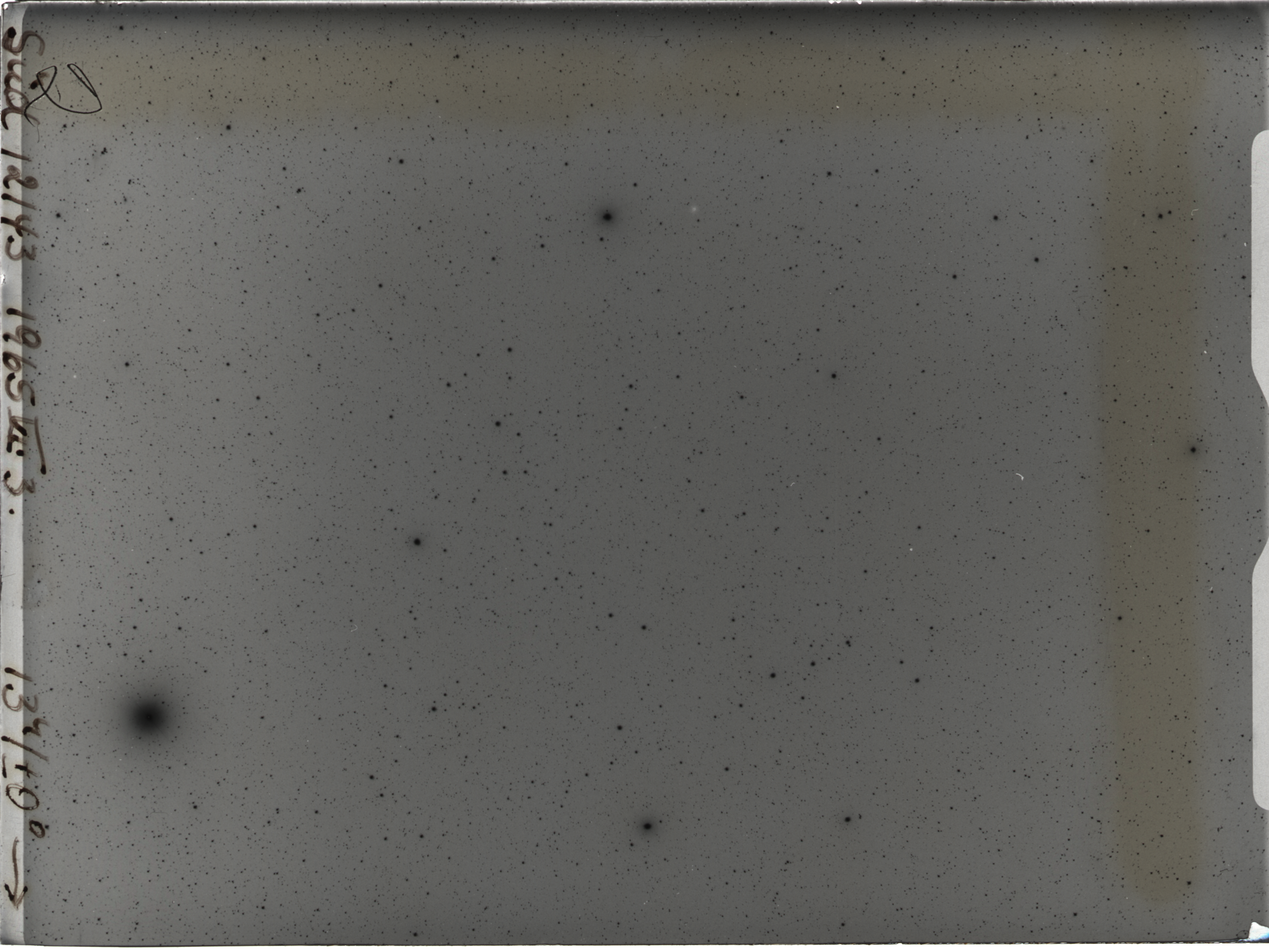 Plate preview