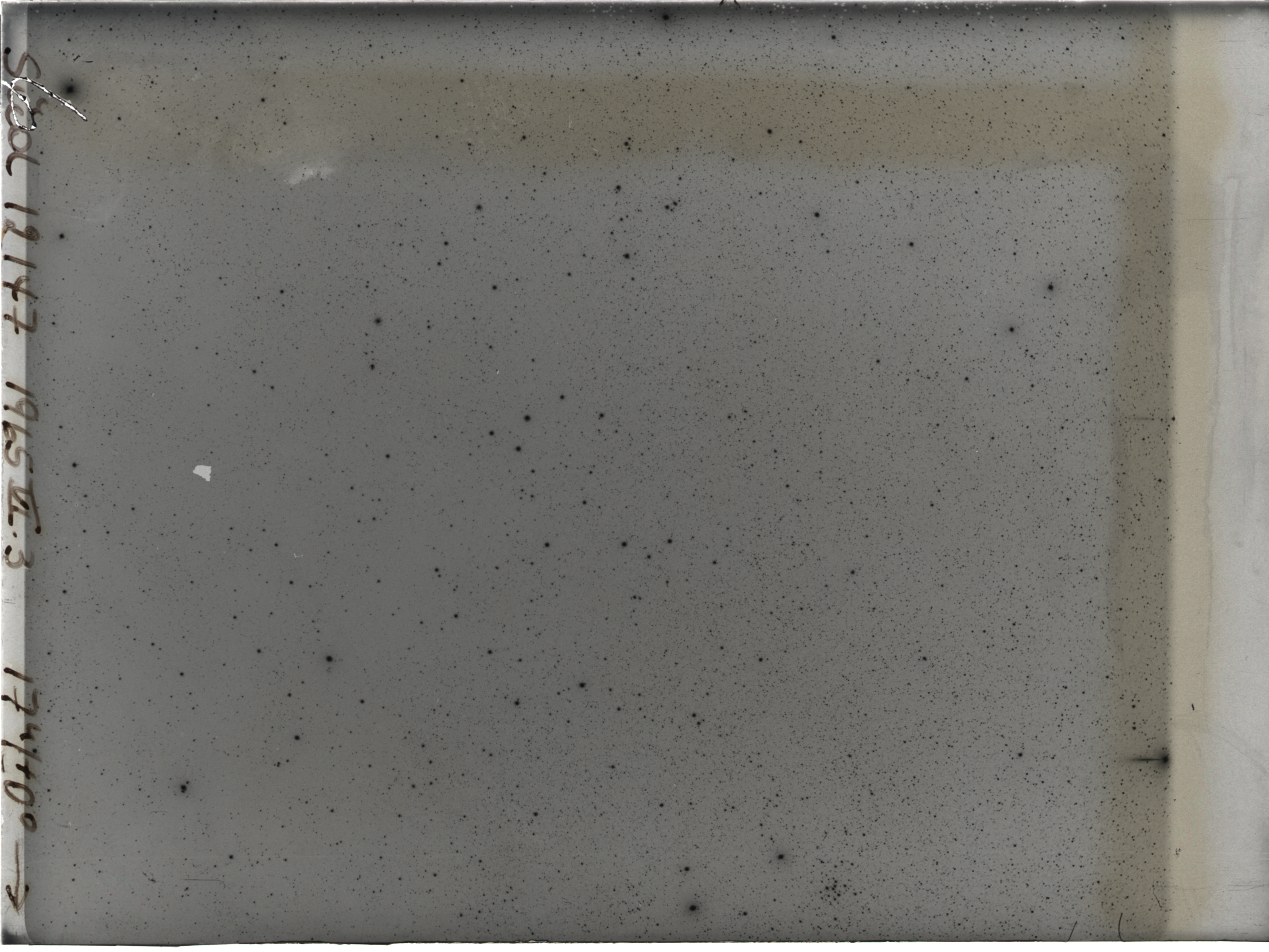 Plate preview