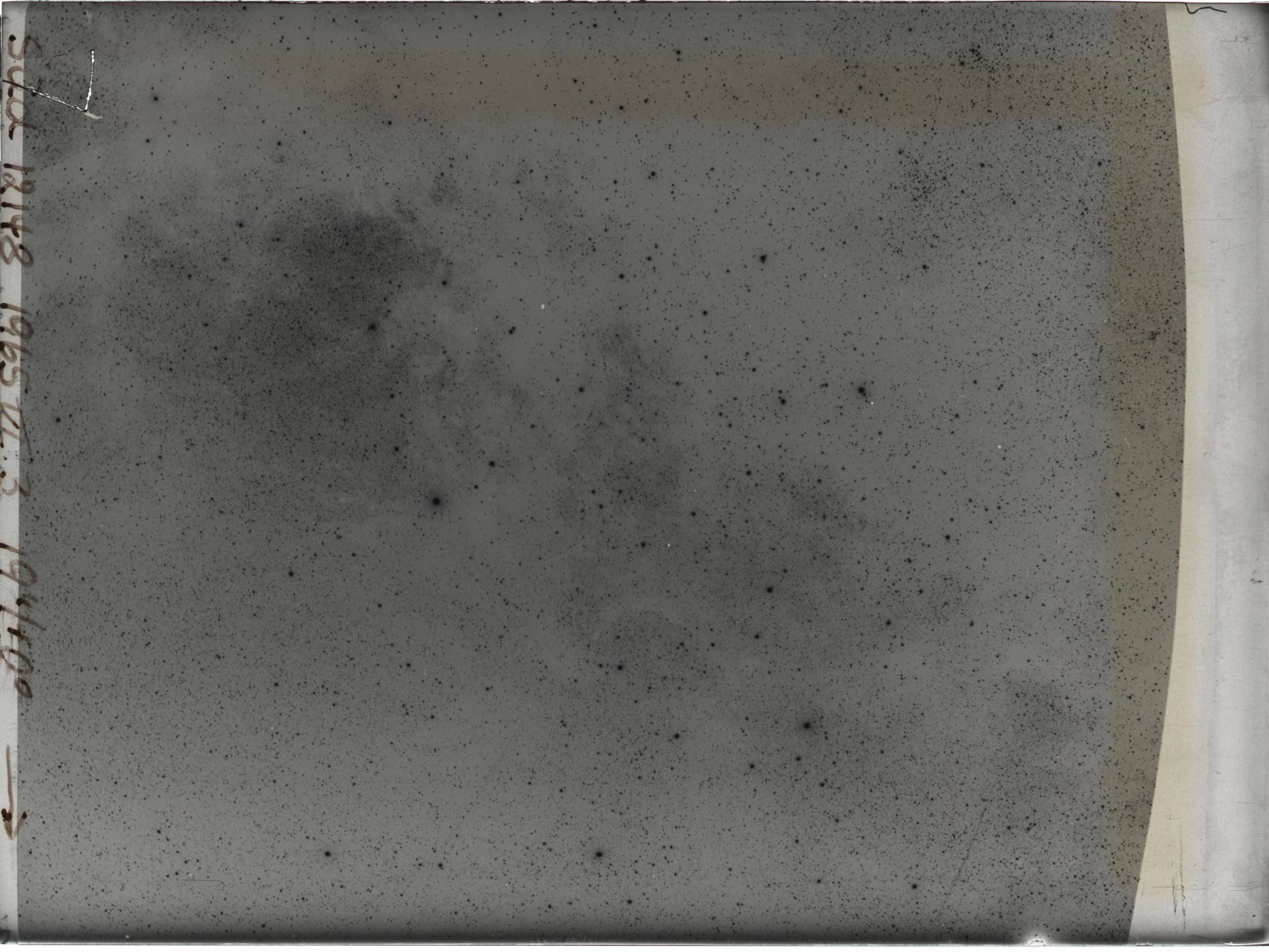 Plate preview