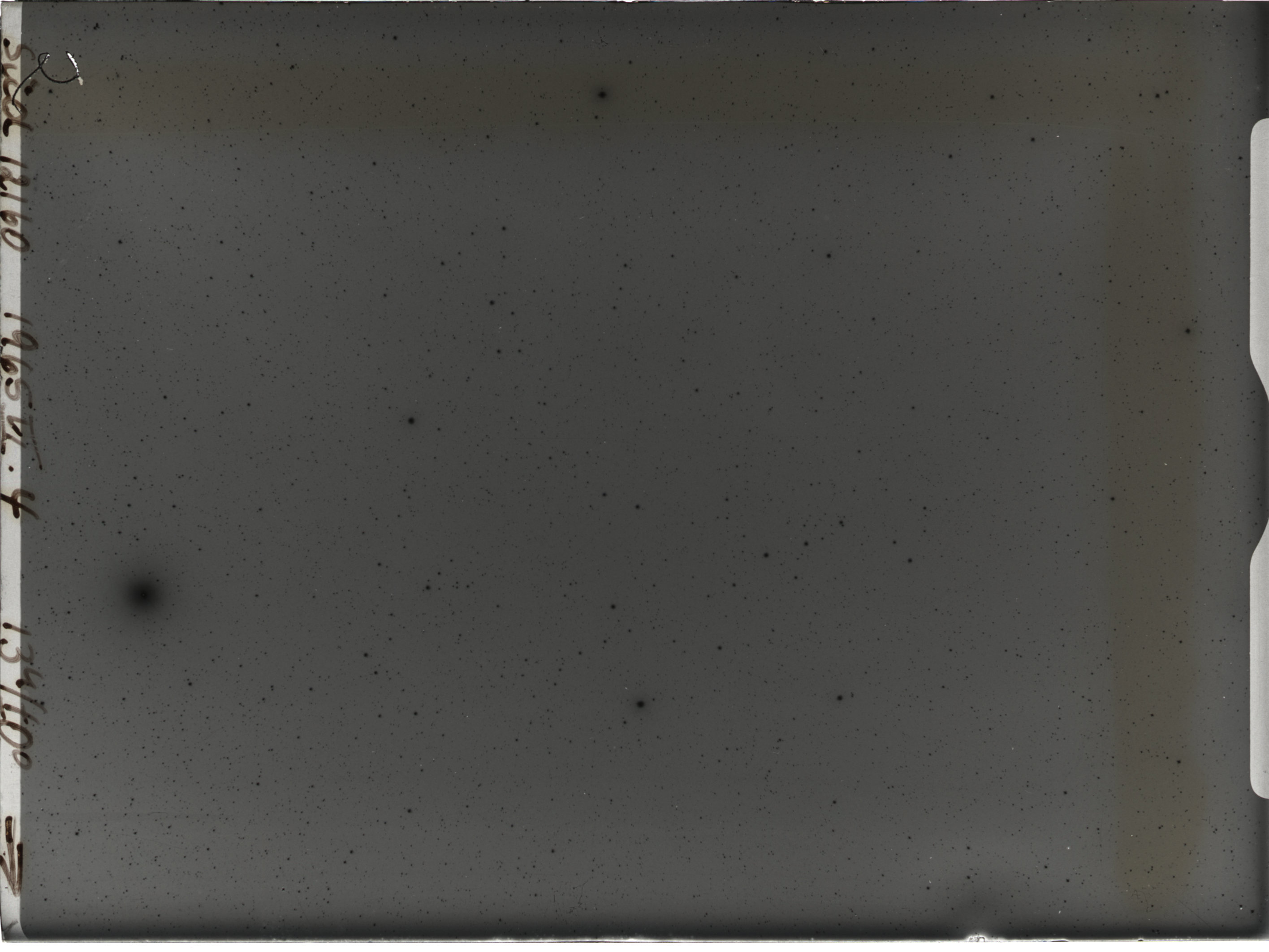 Plate preview