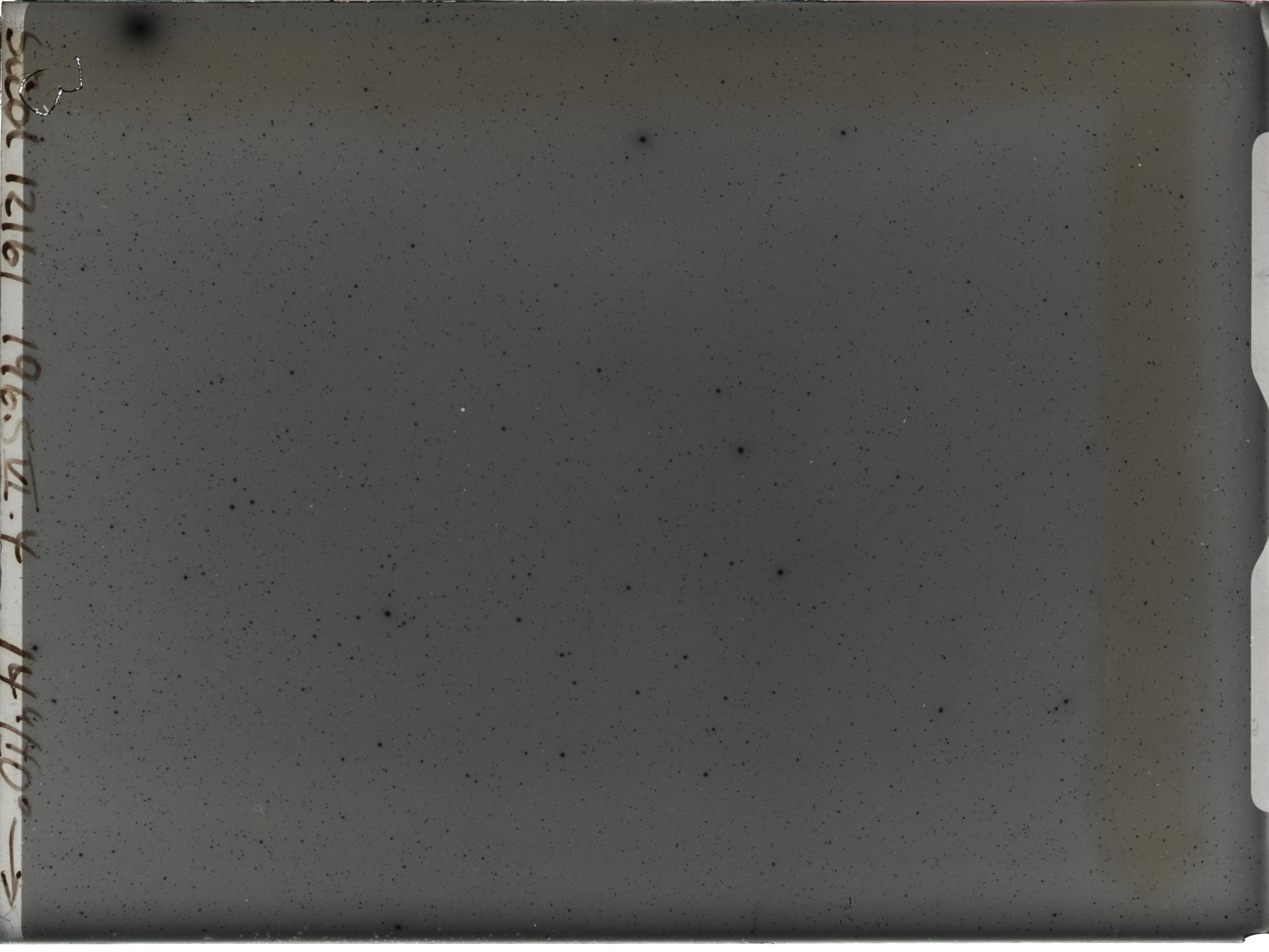 Plate preview
