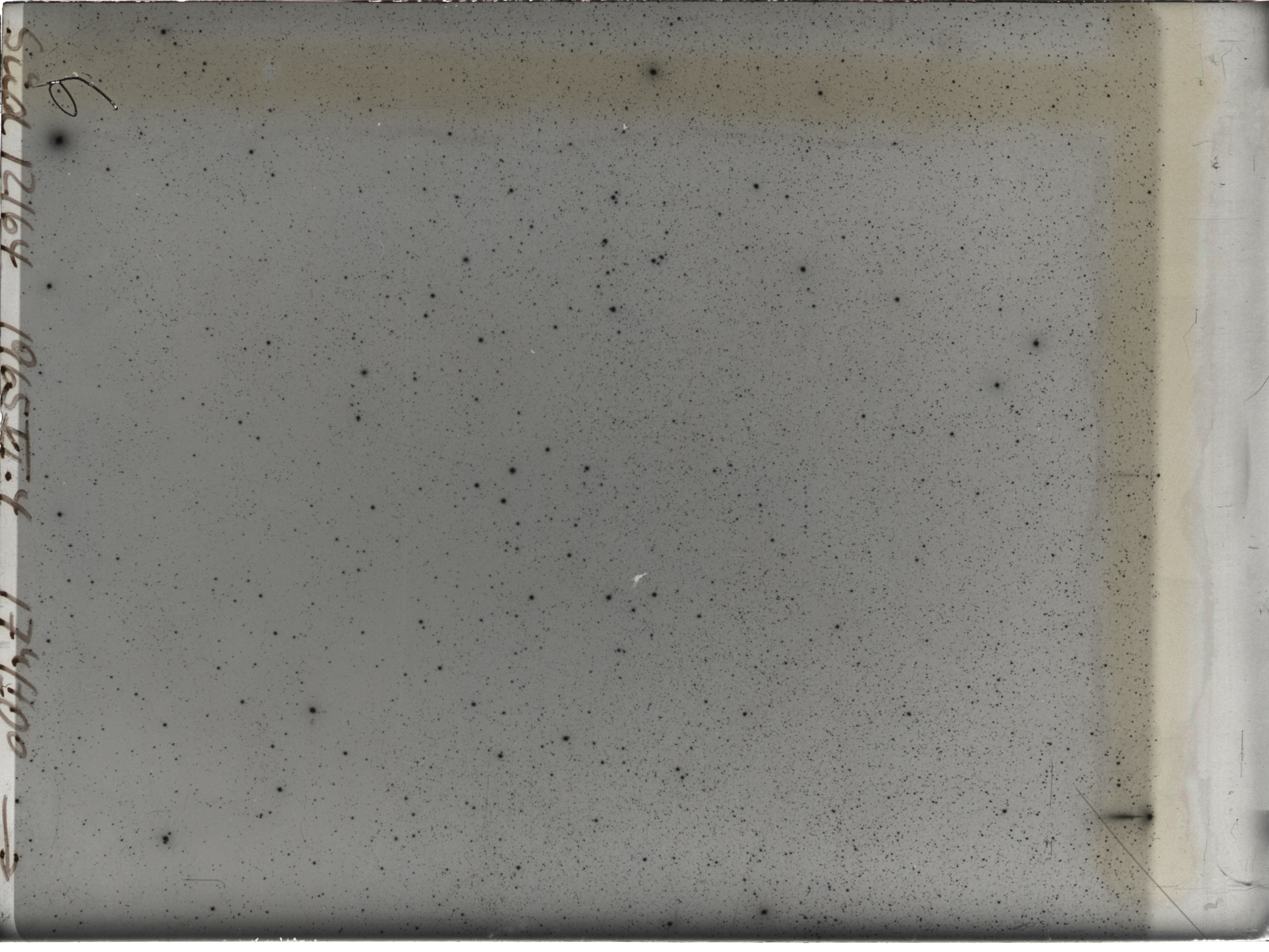 Plate preview