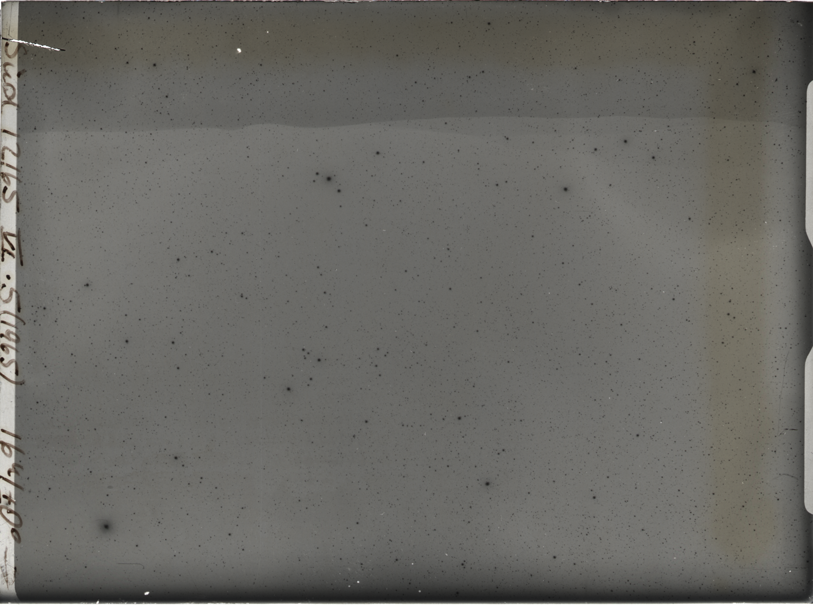 Plate preview