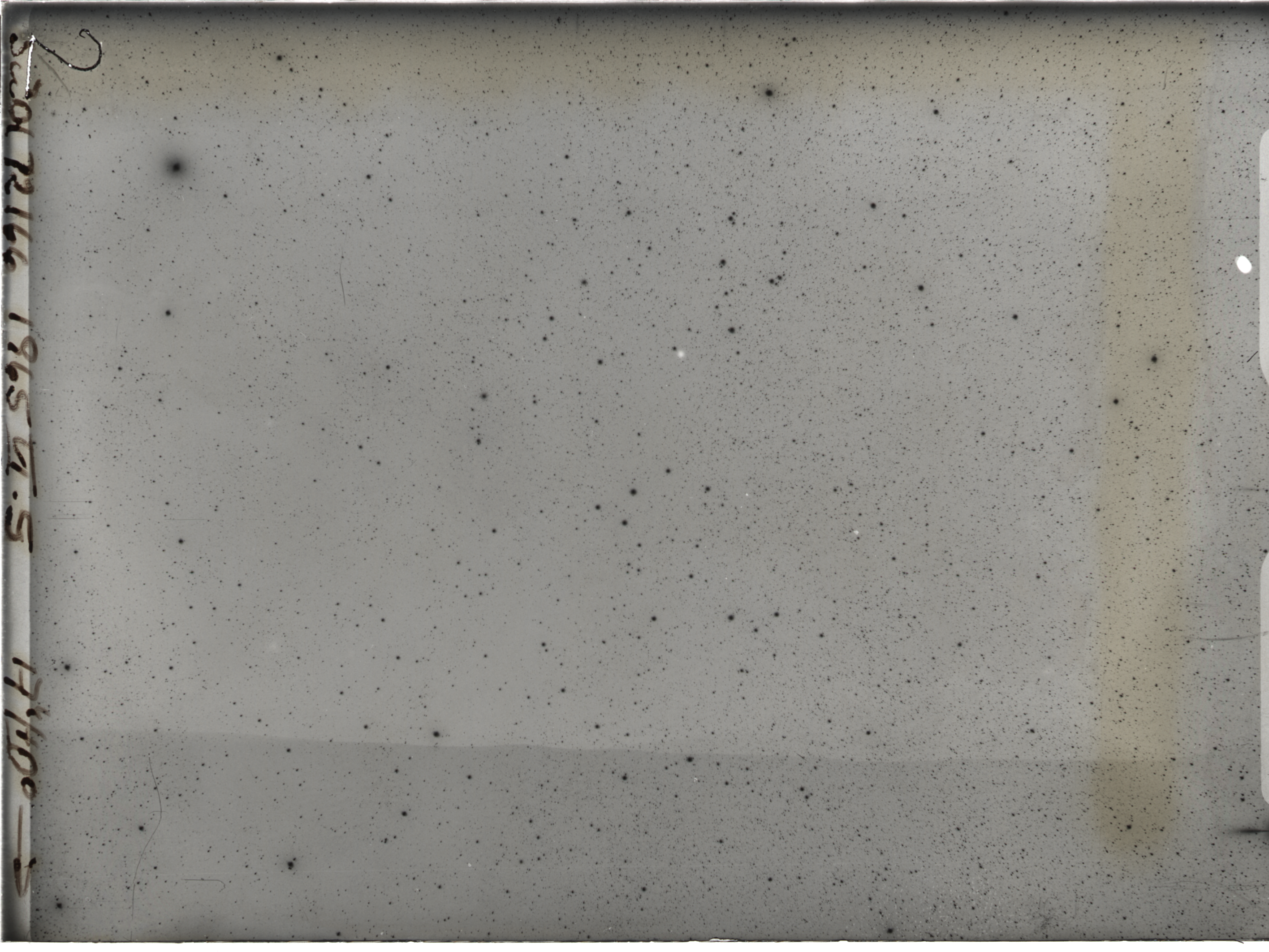 Plate preview