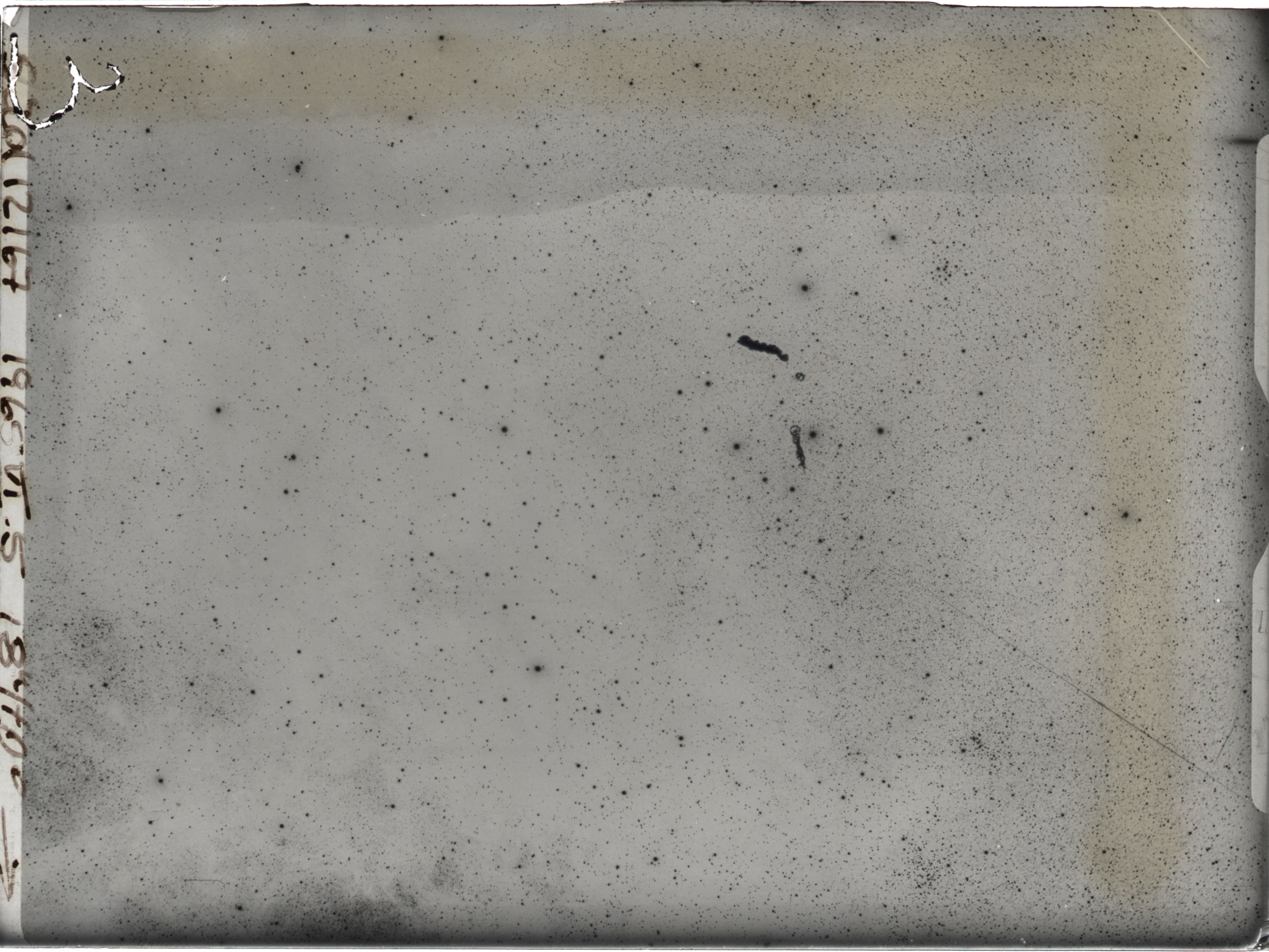Plate preview