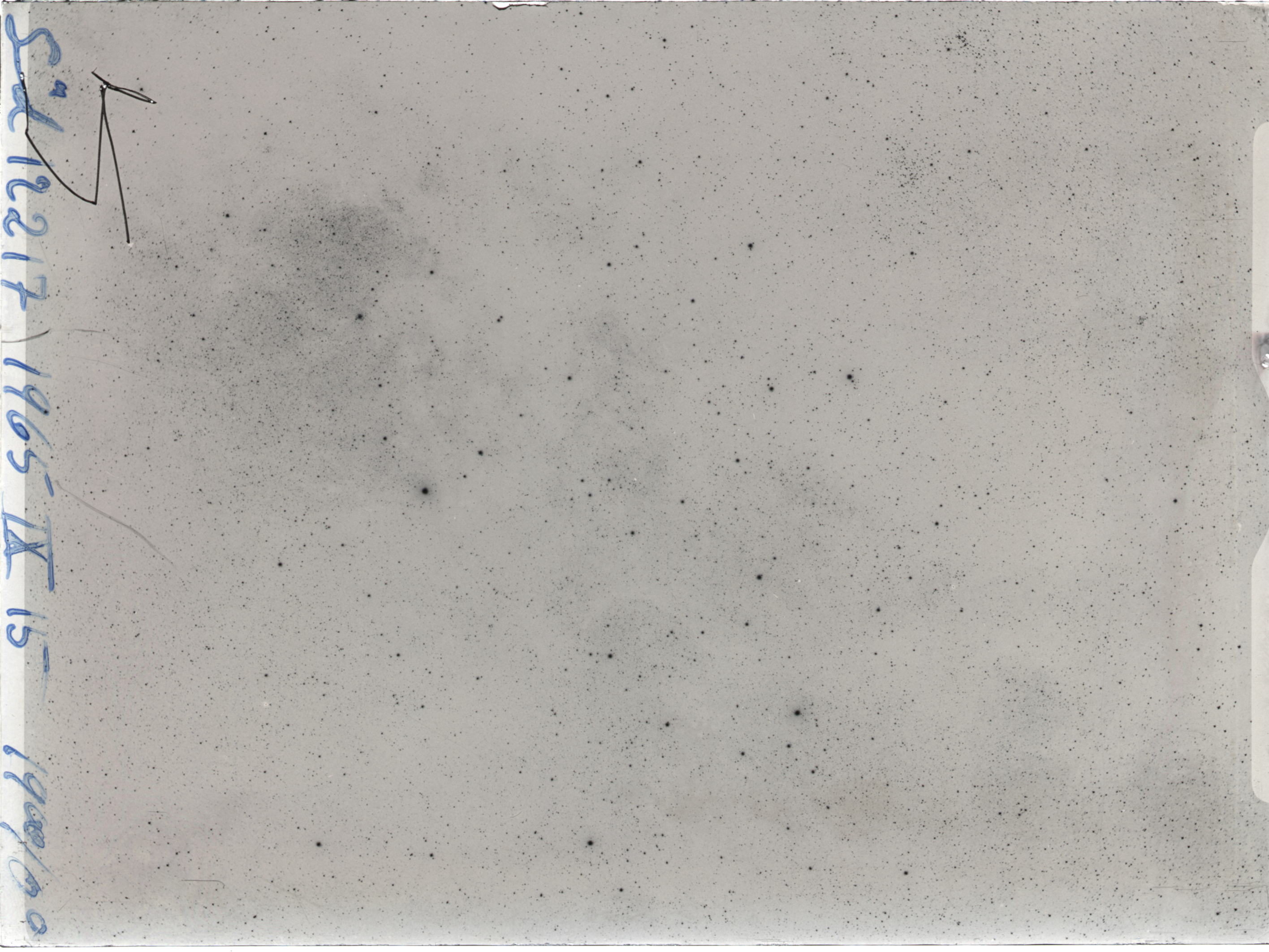 Plate preview