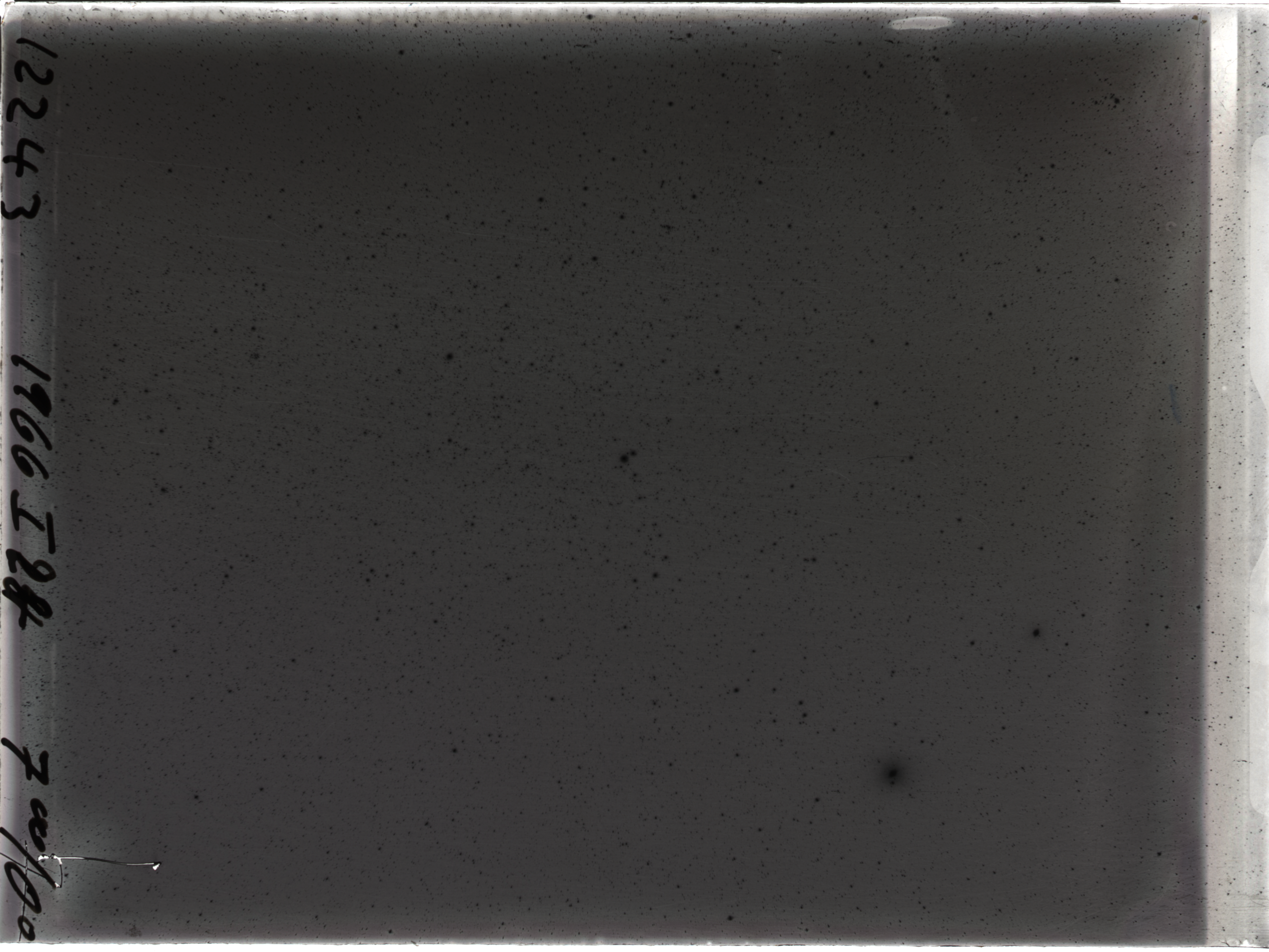 Plate preview