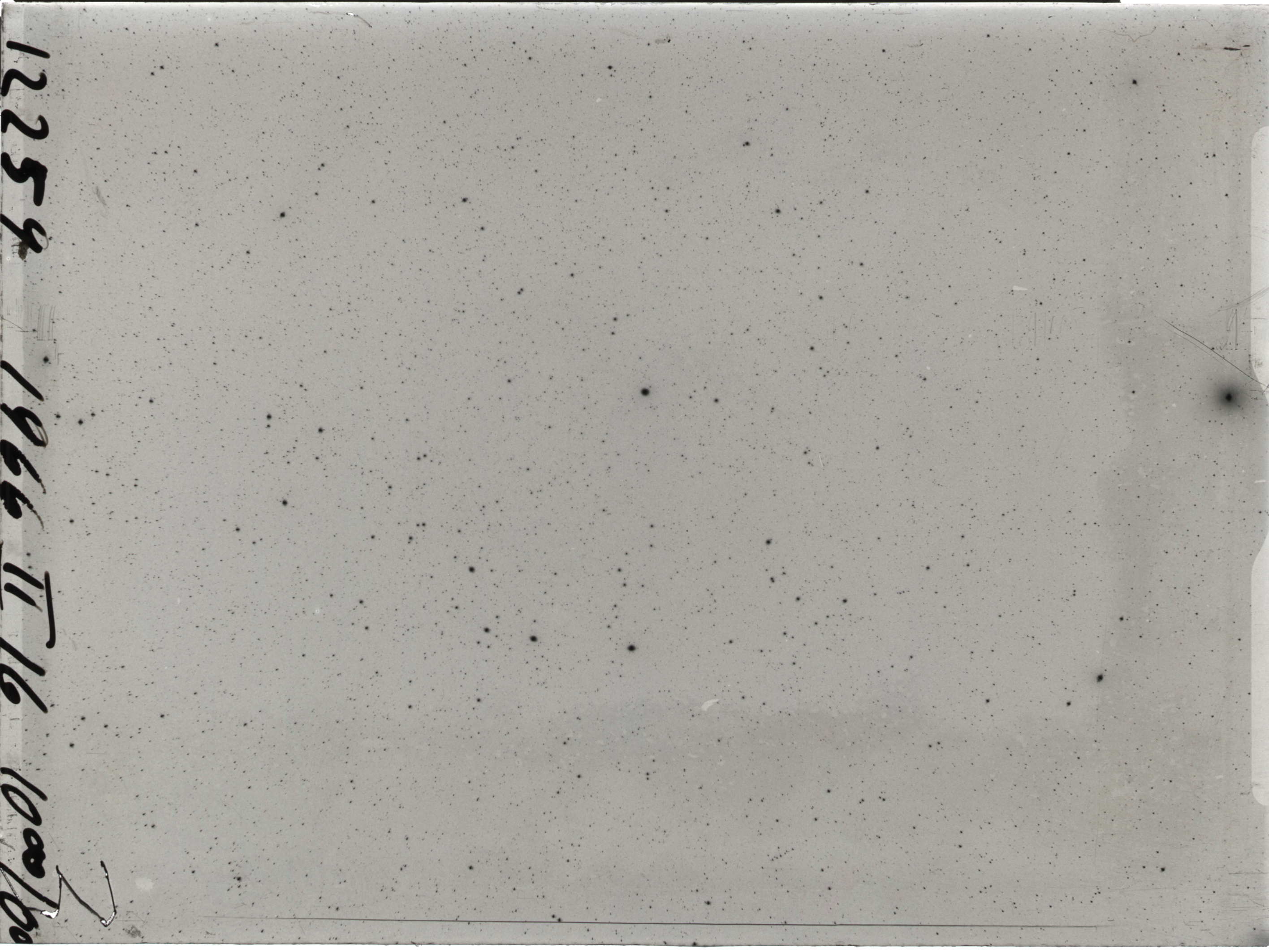 Plate preview